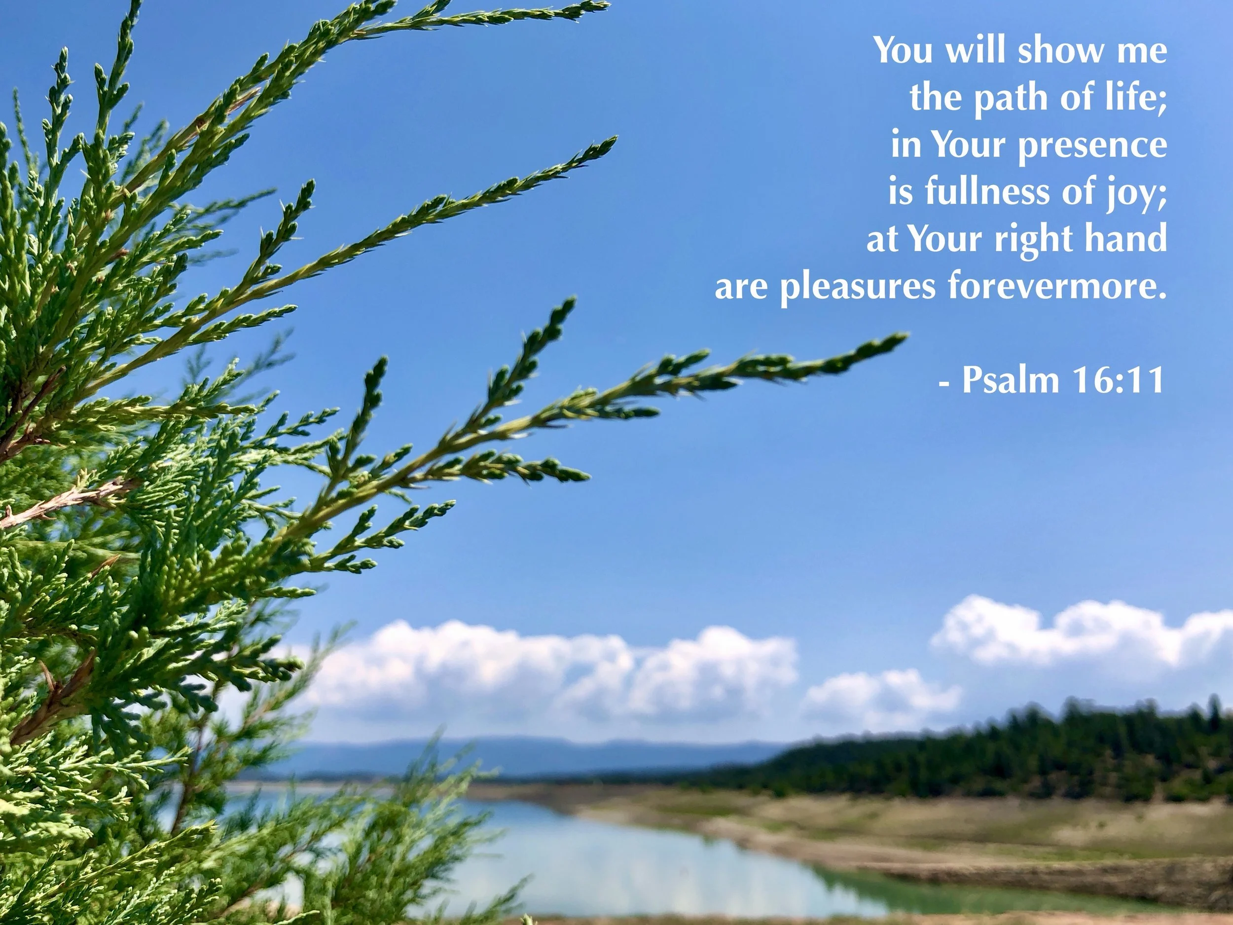May 24, 2026: Psalm 16:11