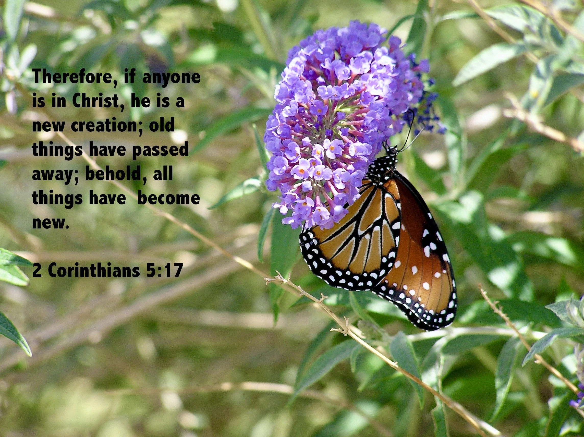 May 28, 2026: 2 Corinthians 5:17