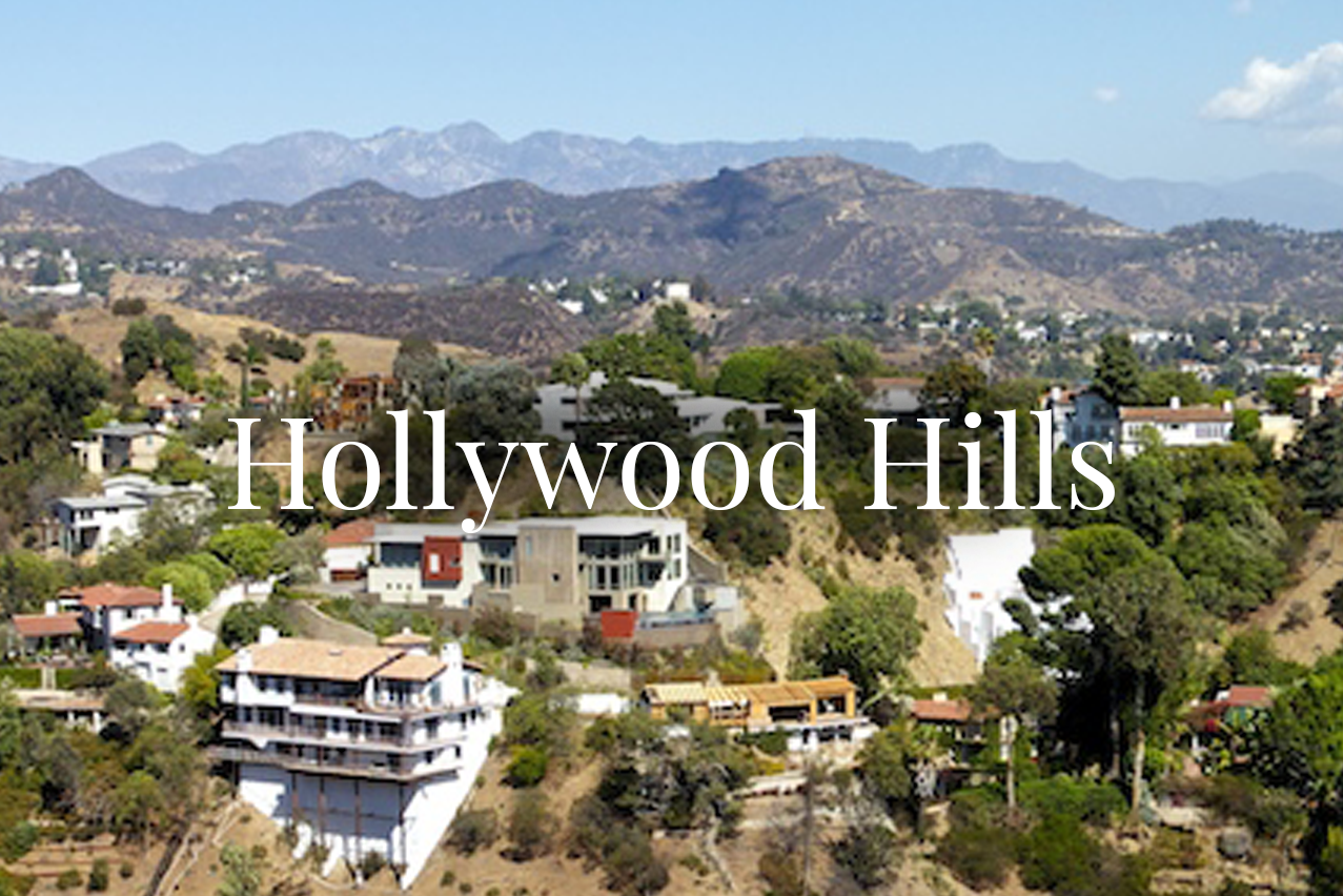 hollywood_hills.png