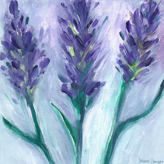 Lavendar-by-Diana-Campos.jpg