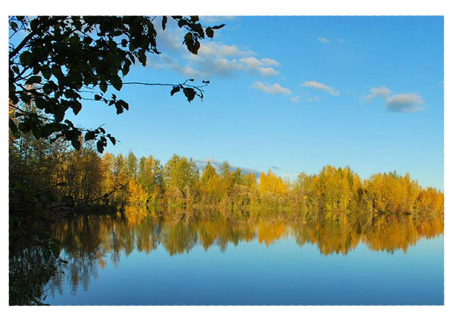 moose-lake.jpg