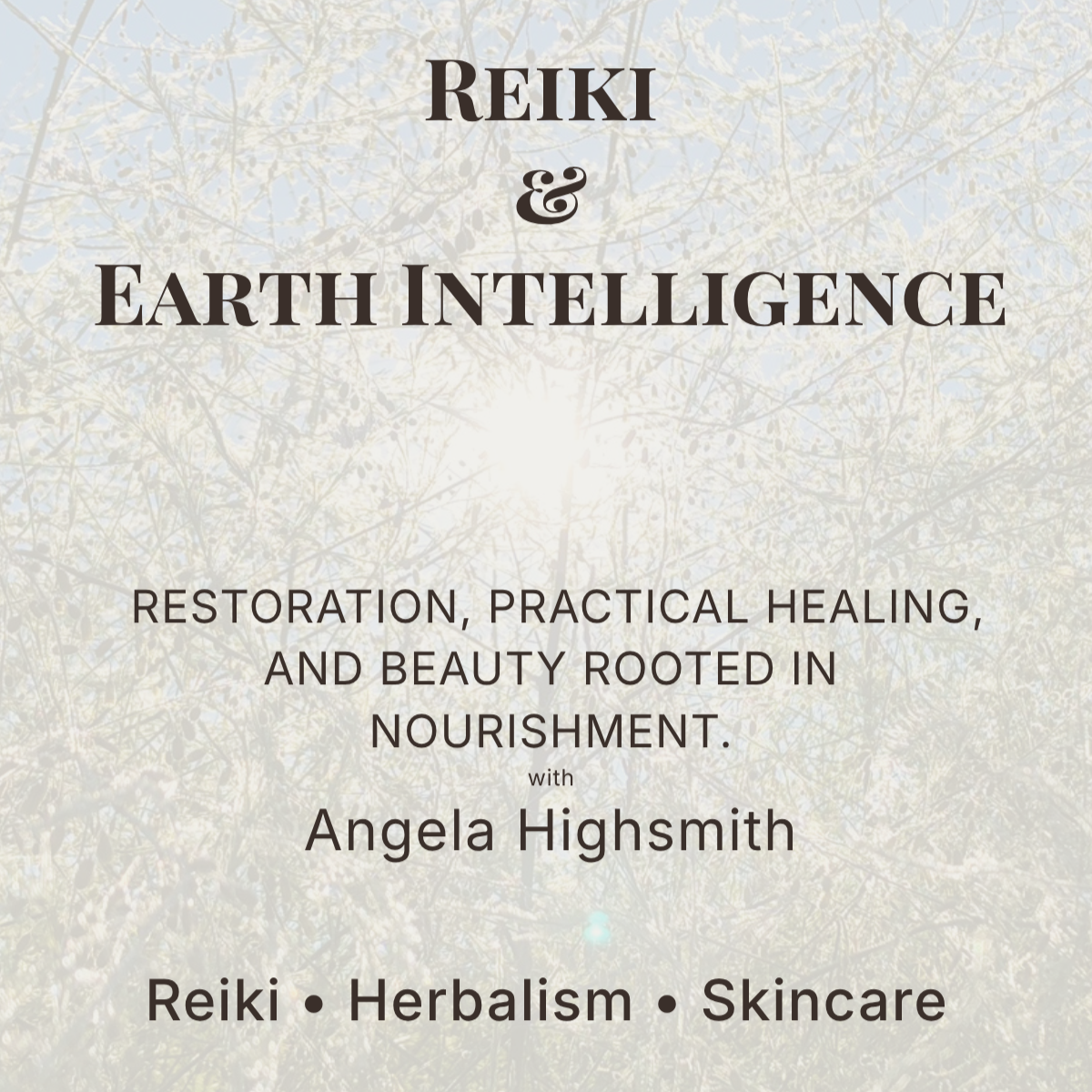 Reiki+%26+Earth+Intelligence+promos.png