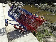 lost-shopping-cart.jpg