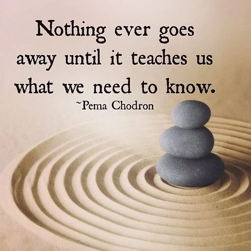 Nothing ever goes away until it teaches us what we need to know. ~Pema Chodron