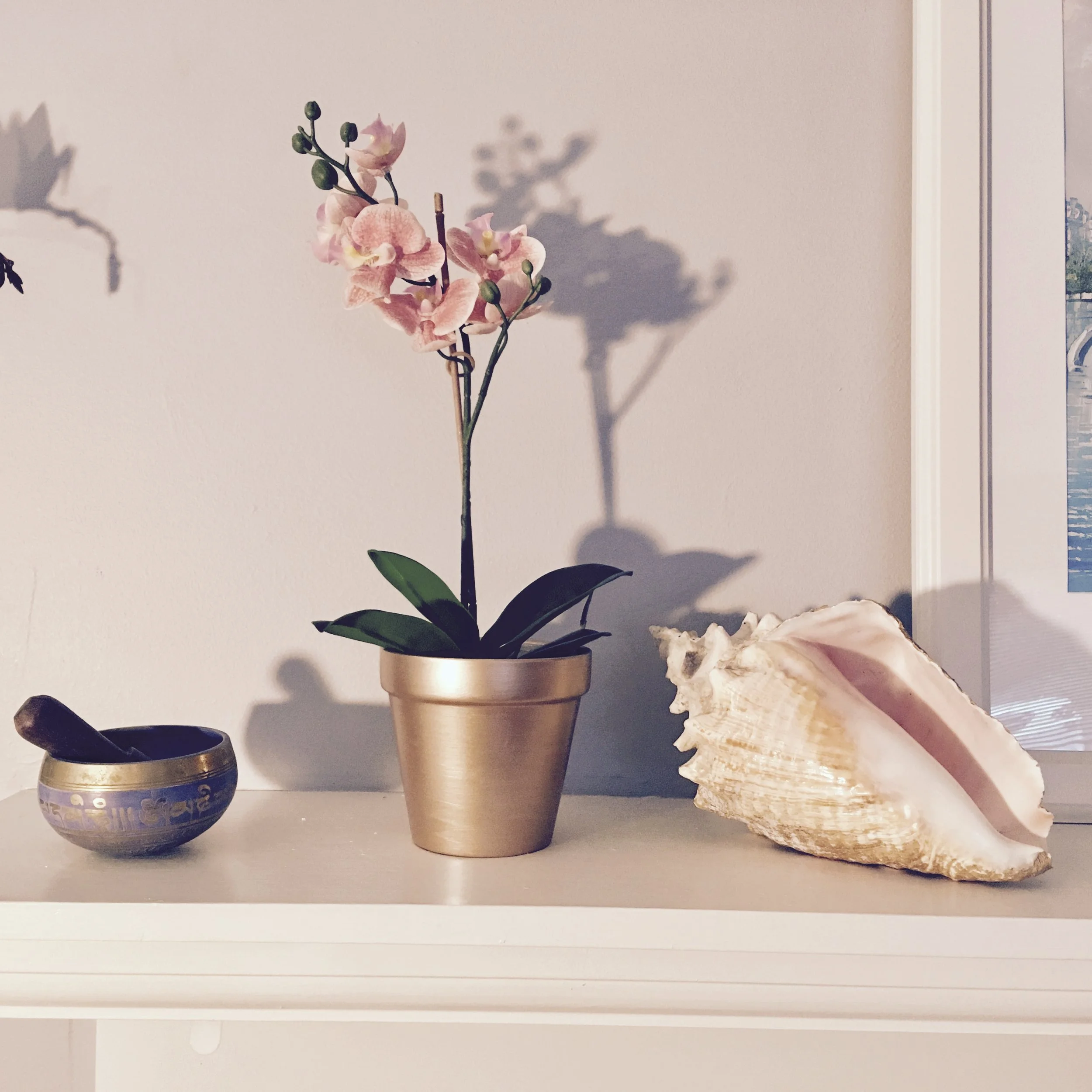 Two Space Clearing Questions