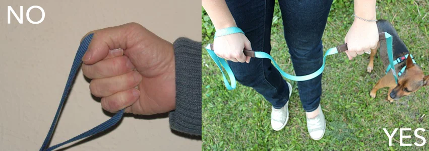 leash holding.jpg