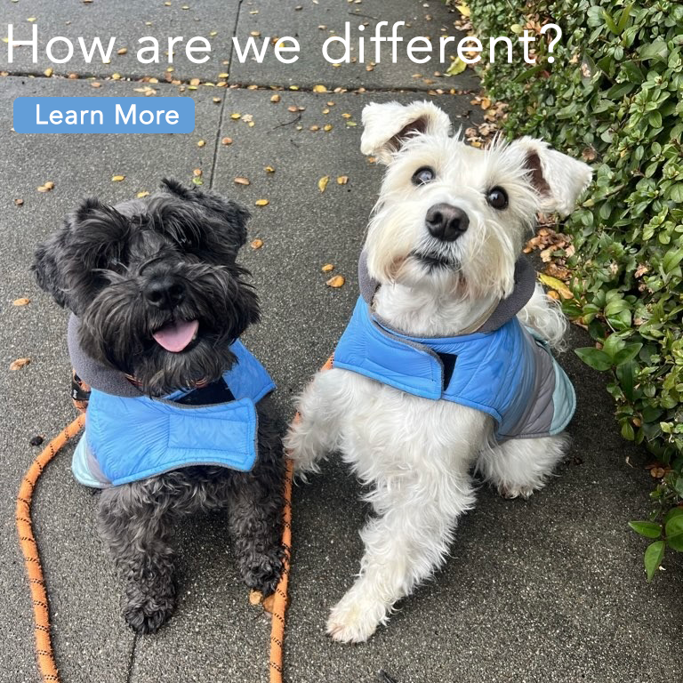 Home page image L & D 2.png