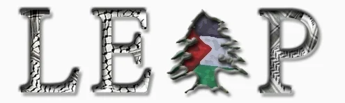 Project SHINE: Teach English in the Palestinian Refugee Camps of Lebanon This Summer