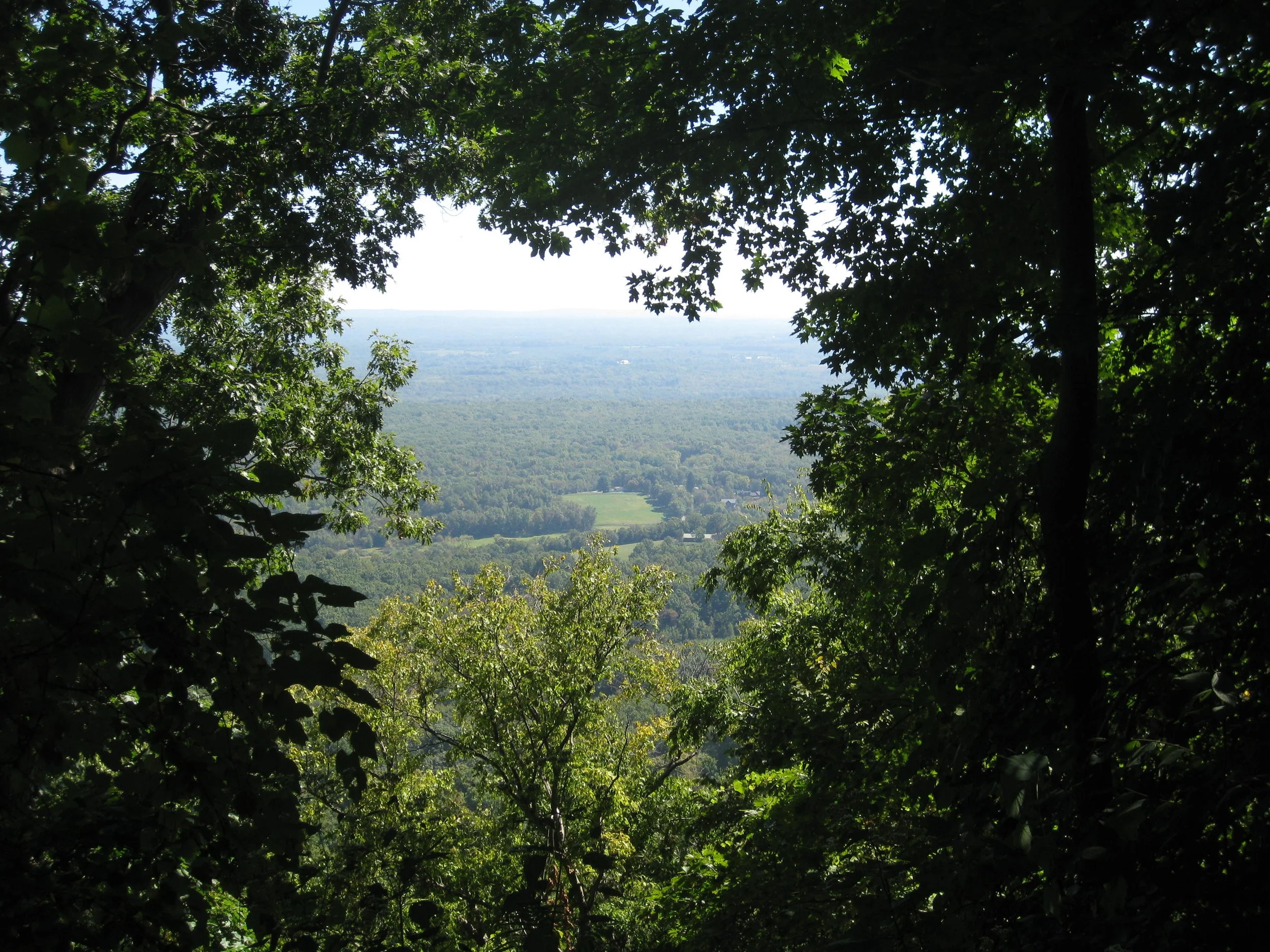 IMG_2471 - Copy - Copy.JPG