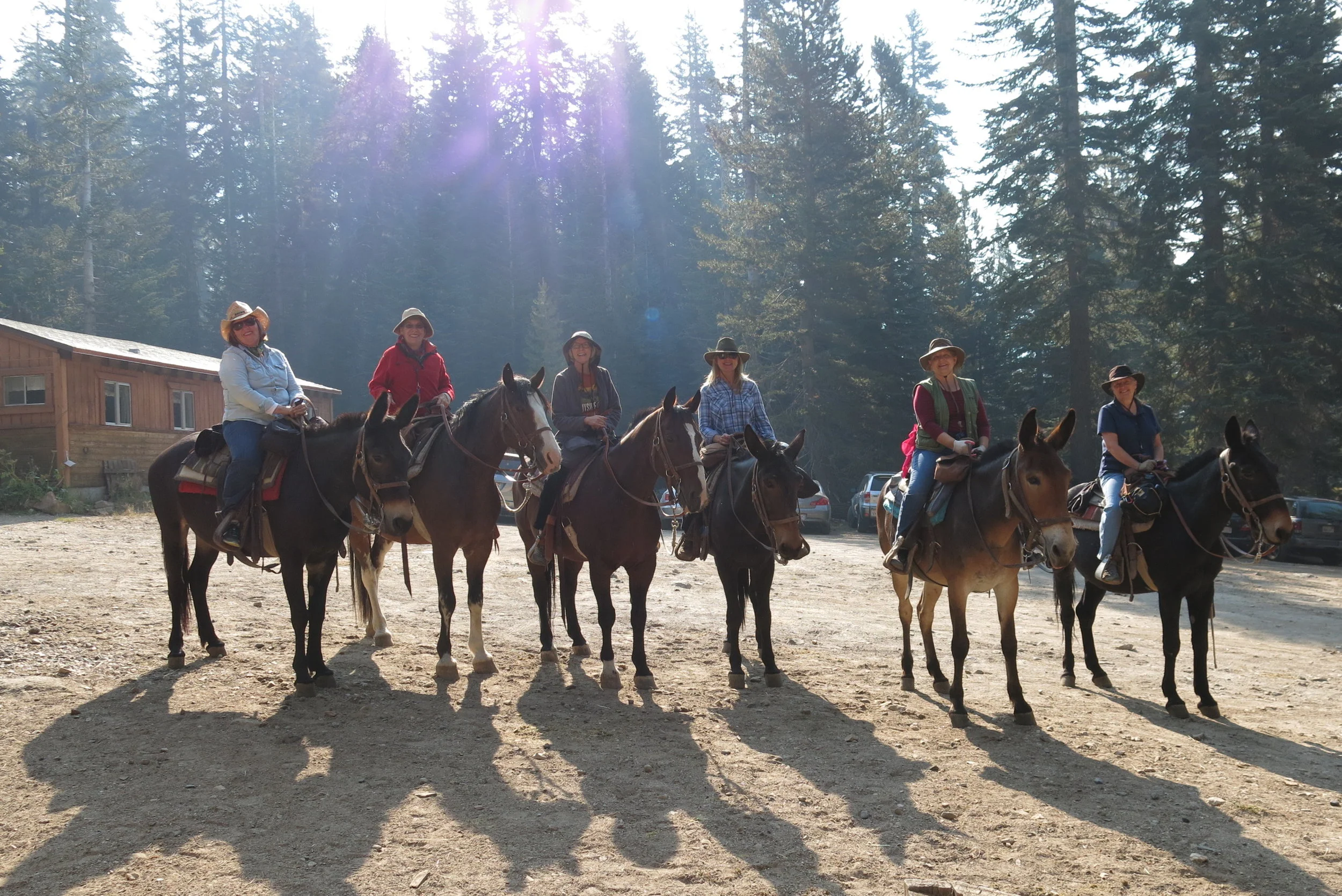 Gallery Talk: Meet the PAC6 Painters