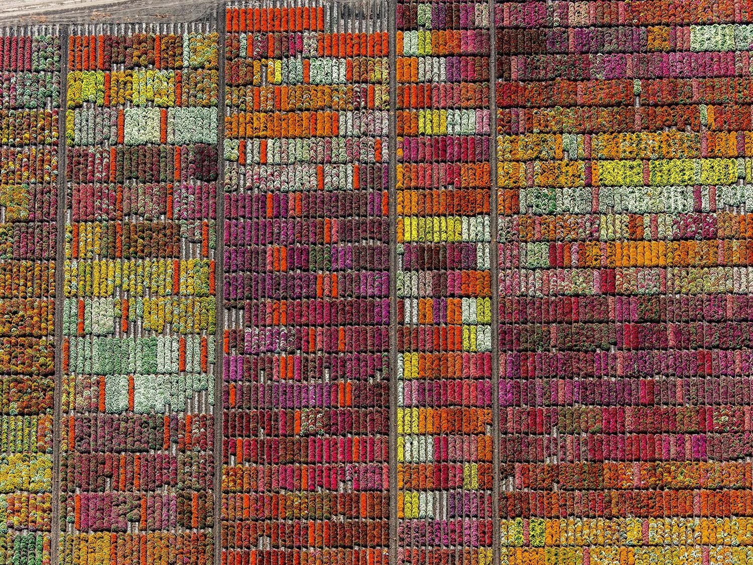 Premiere Party: Pilot's Discretion - Aerial Photos by Bill Dewey