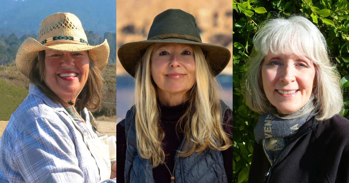 Painting Demo: Nita Harper, Laura Wambsgans, and Sharon Weaver of PAC6