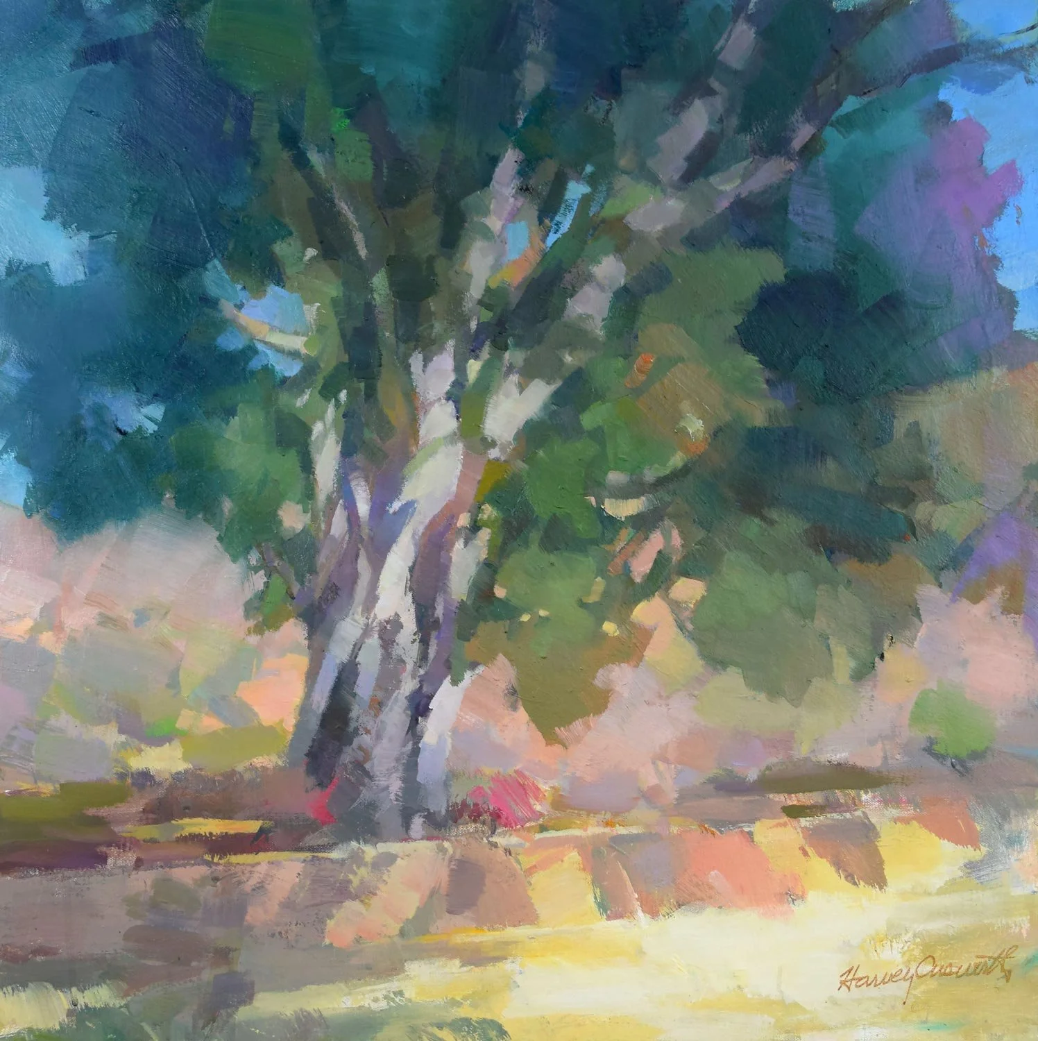 "Patterns of Life" by Harvey Cusworth