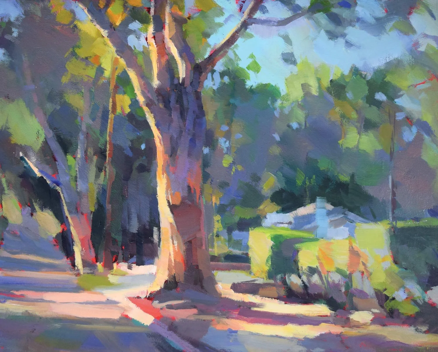 "Corner Tree" by Harvey Cusworth