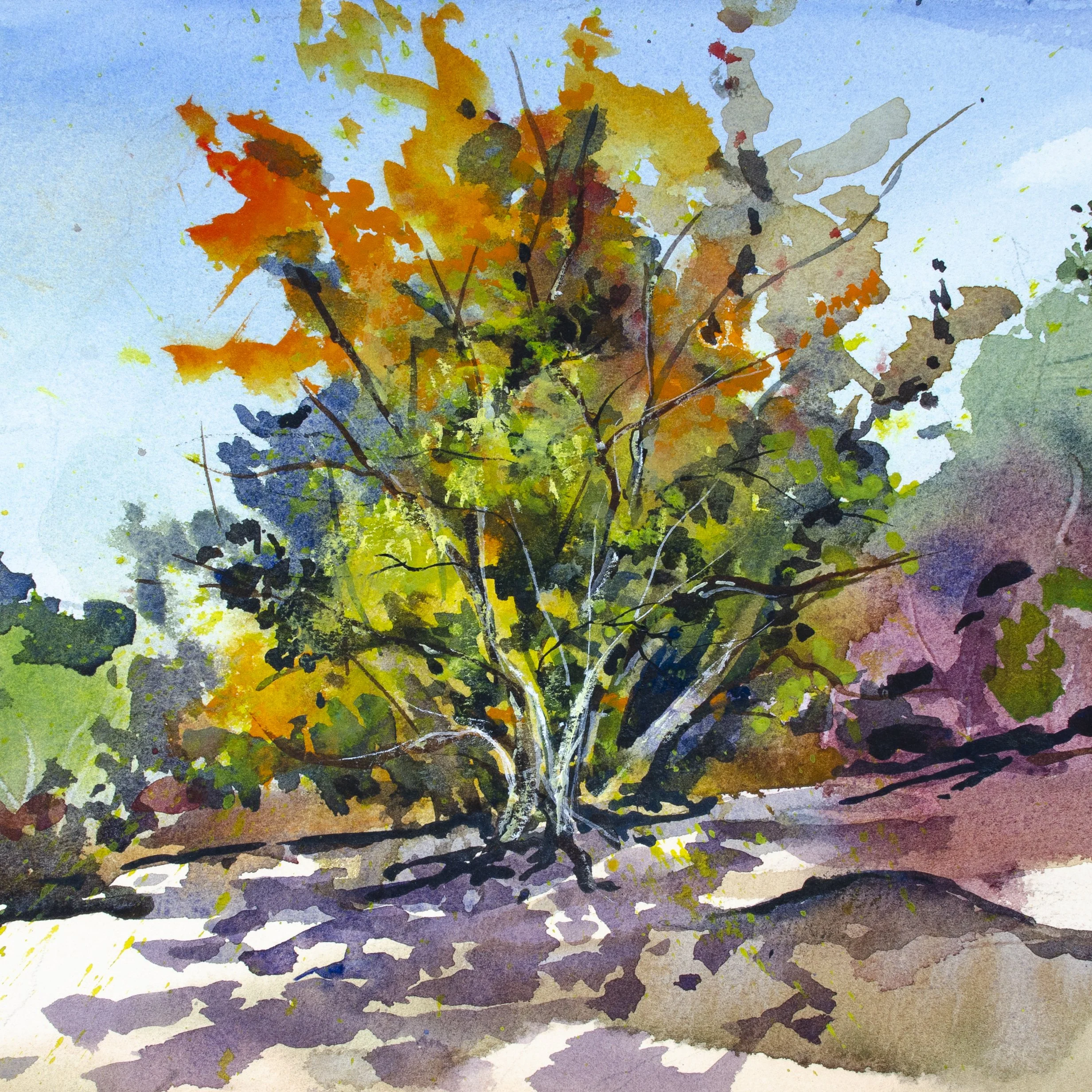 Watercolor Painting: Essentials