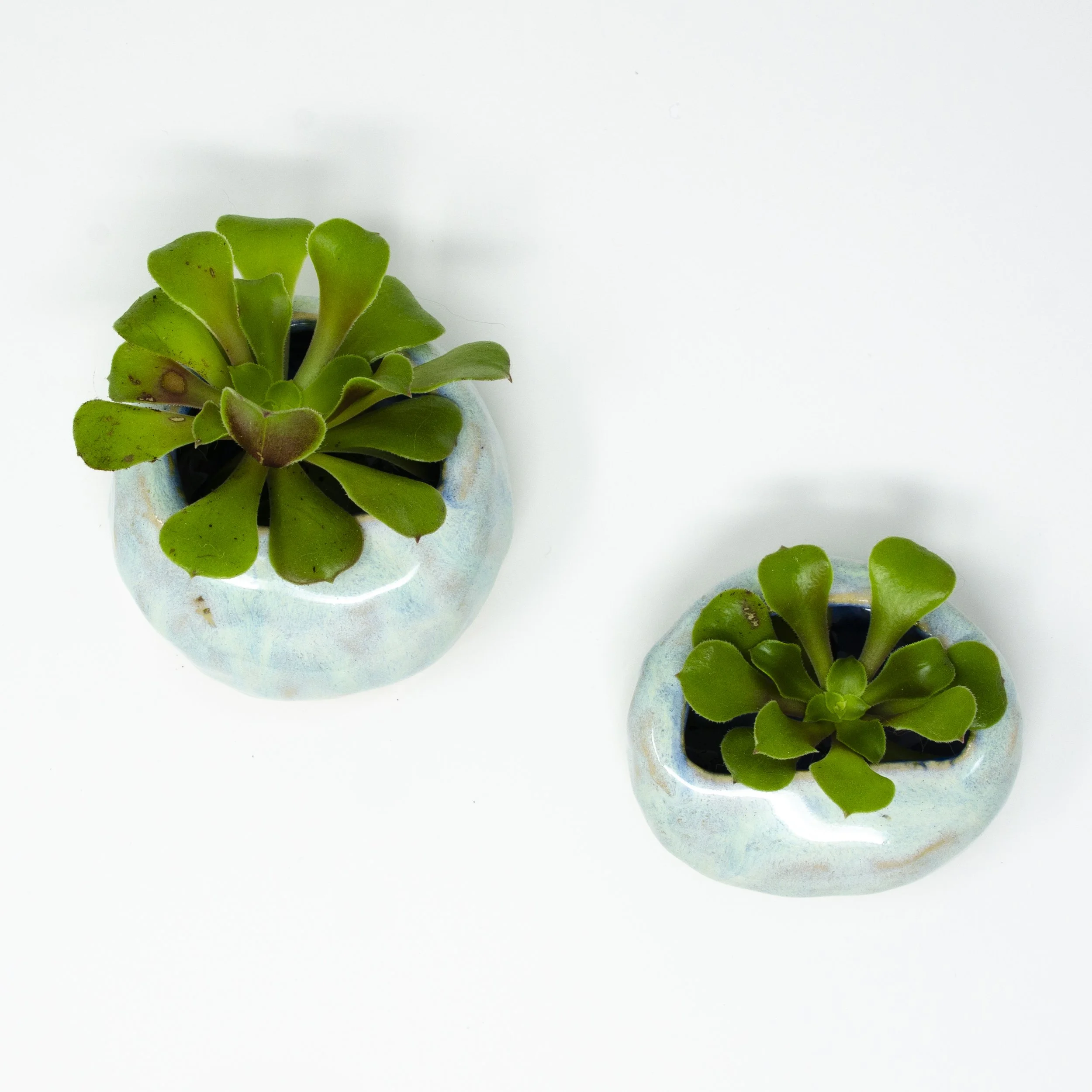 Ceramic Wall Planters 3.jpg