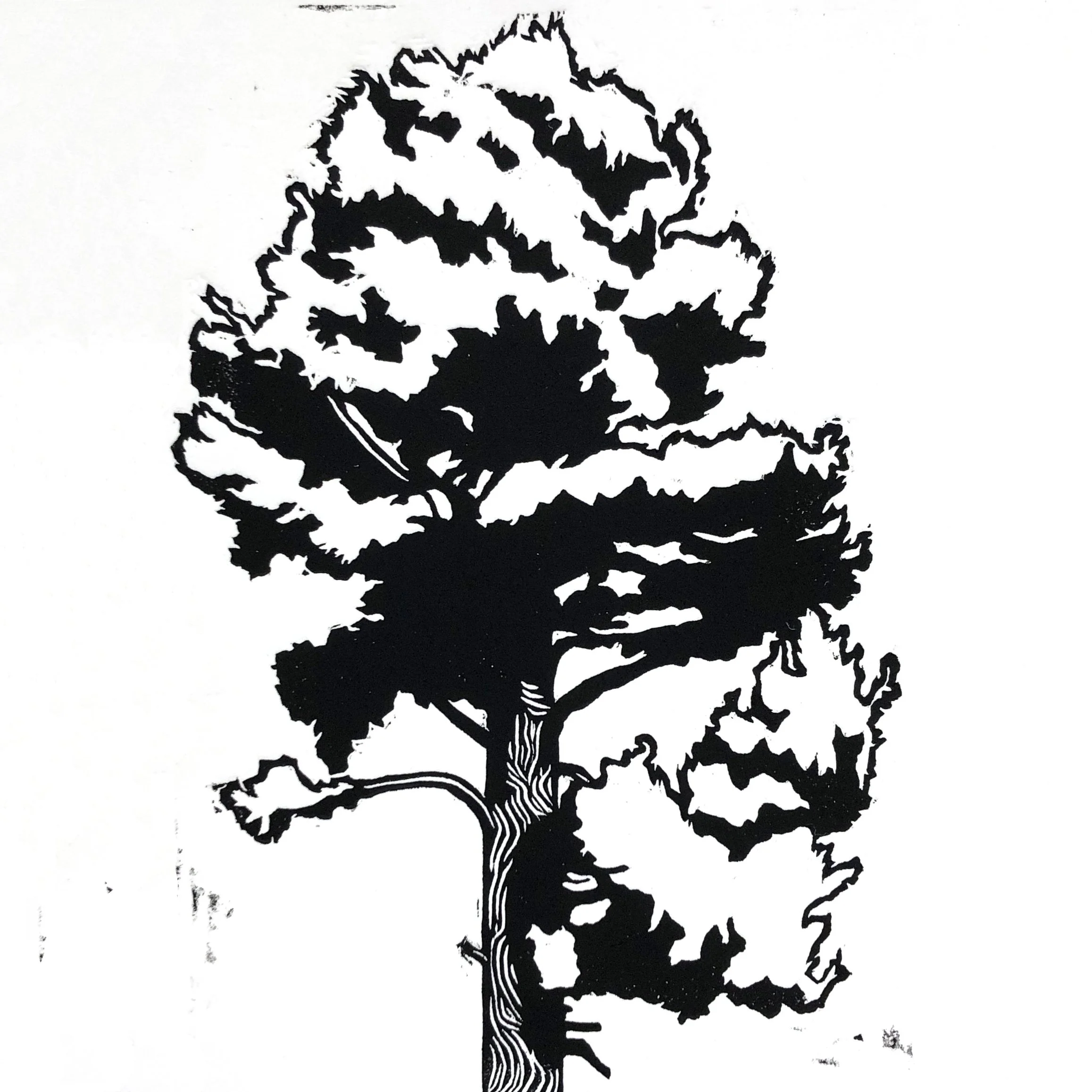 Printmaking: Carving Designs