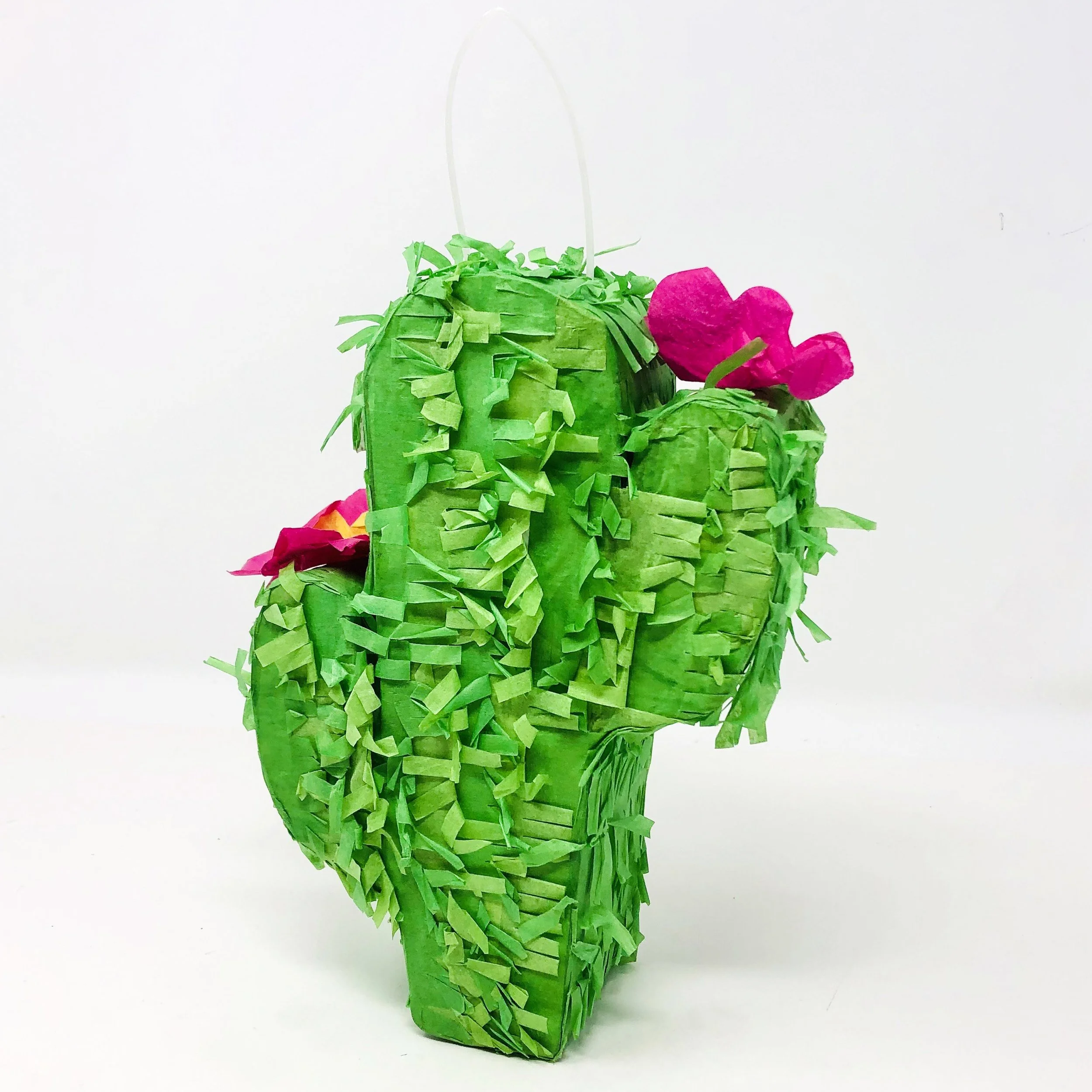 2026_Pinatas (3).jpeg