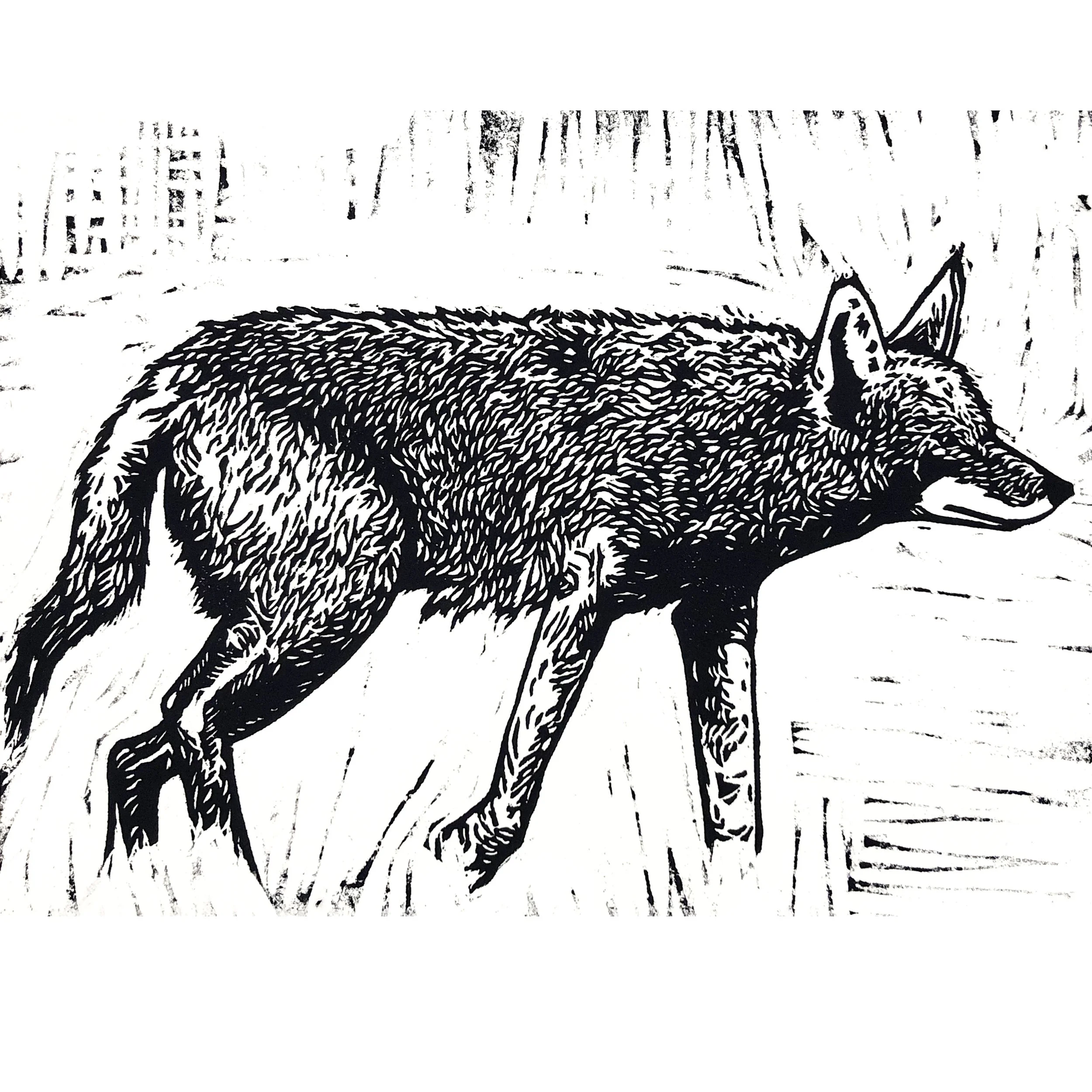 Relief Printing Wildlife 1.jpg