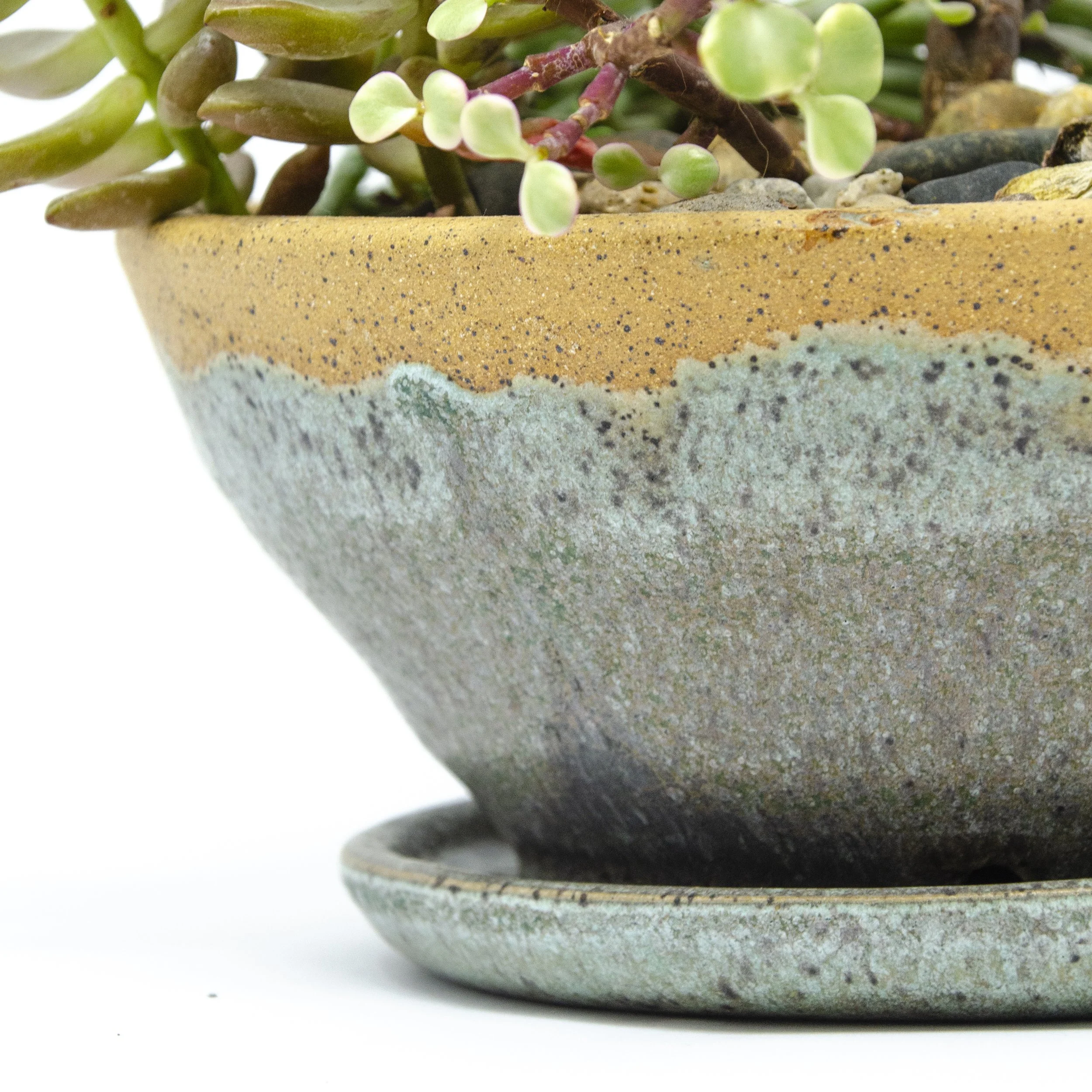 Succulent Pots 2.jpg