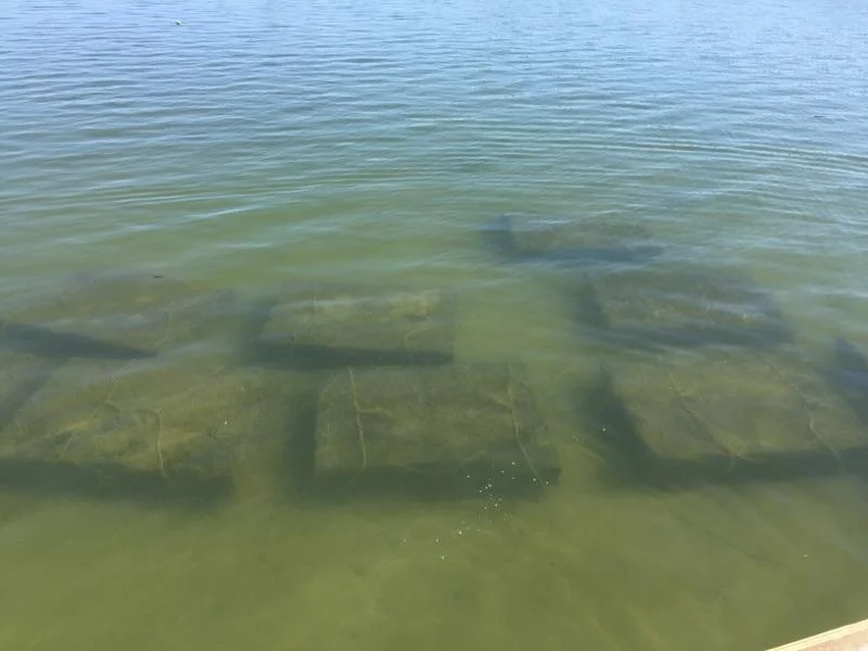 20150913_135625.jpg