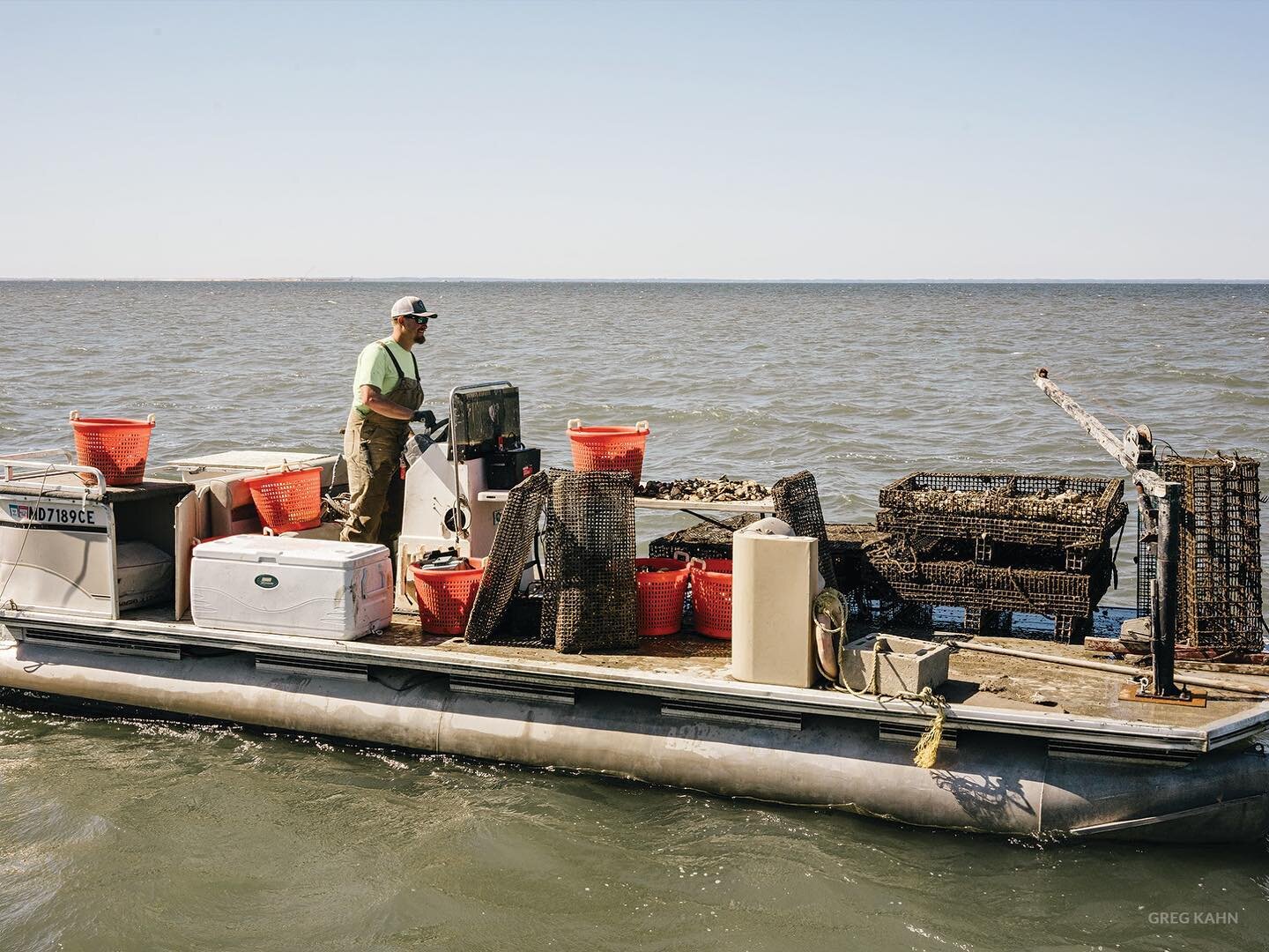 Ready for a busy week! 🌊⚓️

#oysterfarmer #oysterfarmerlife #knowyourfarmer #knowyourfarmerknowyourfood #chesapeakebay #chesapeakebayoysters