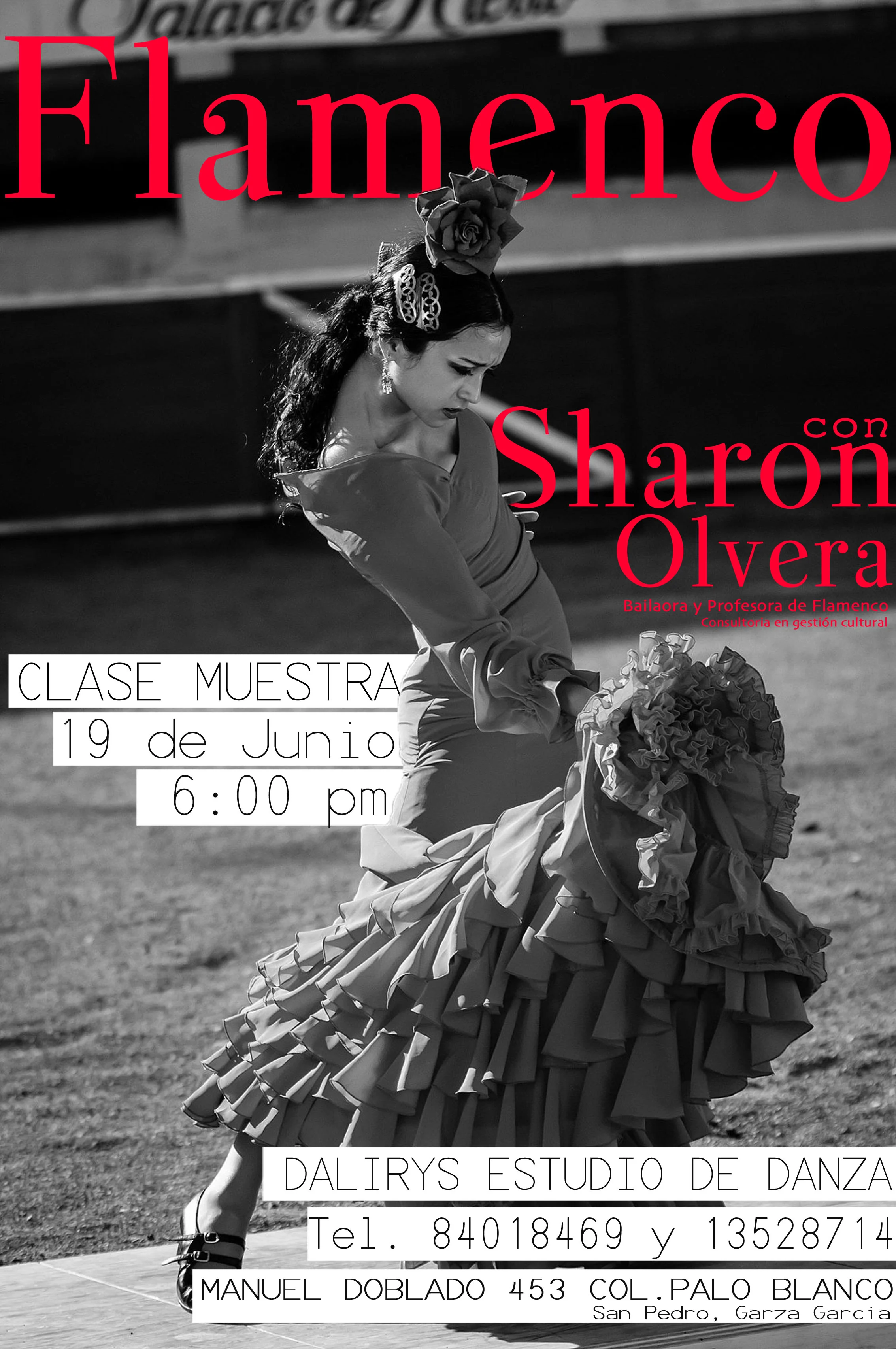 FlamencoFlyer.jpg