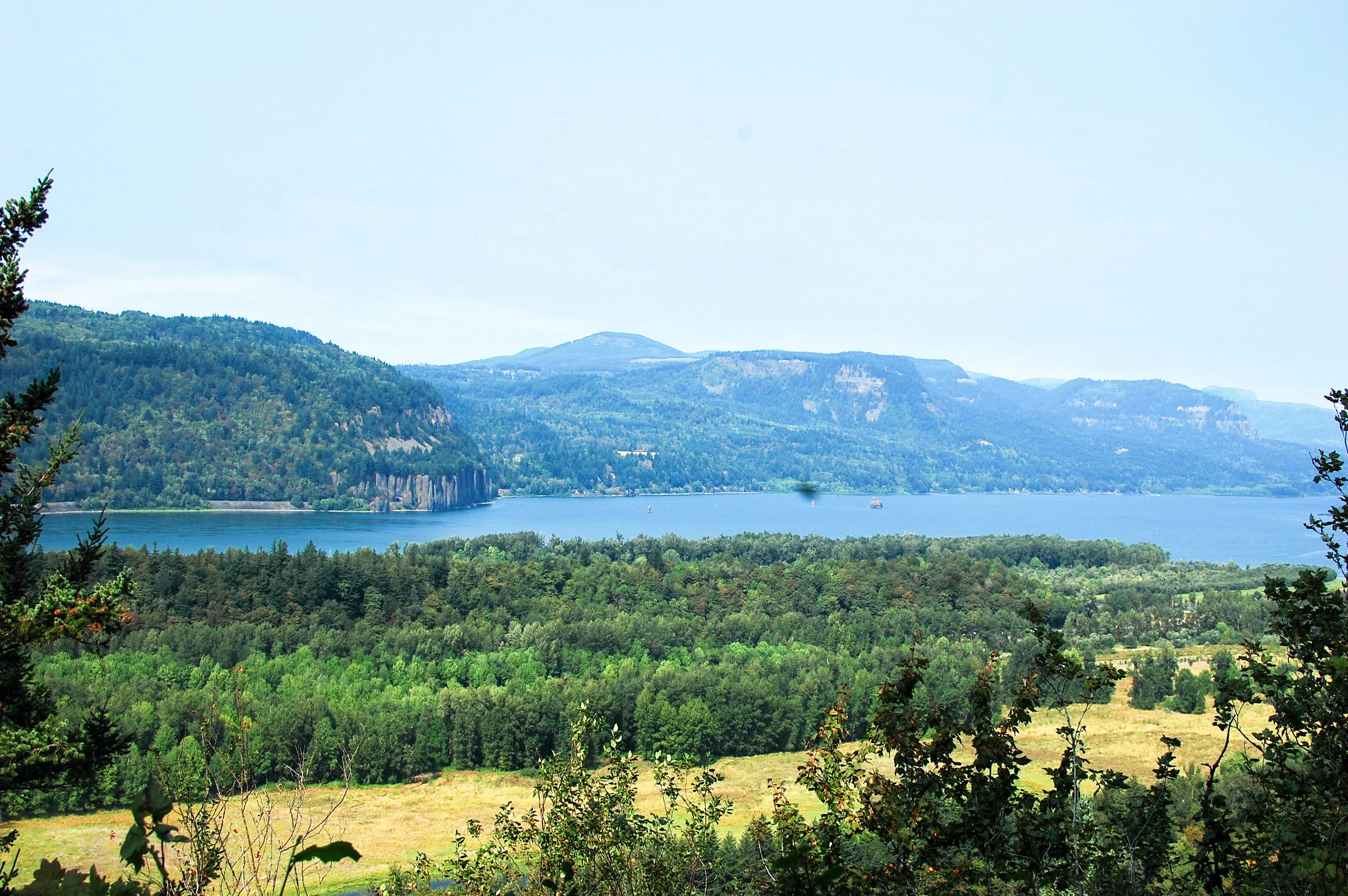 DSC_0729.jpg