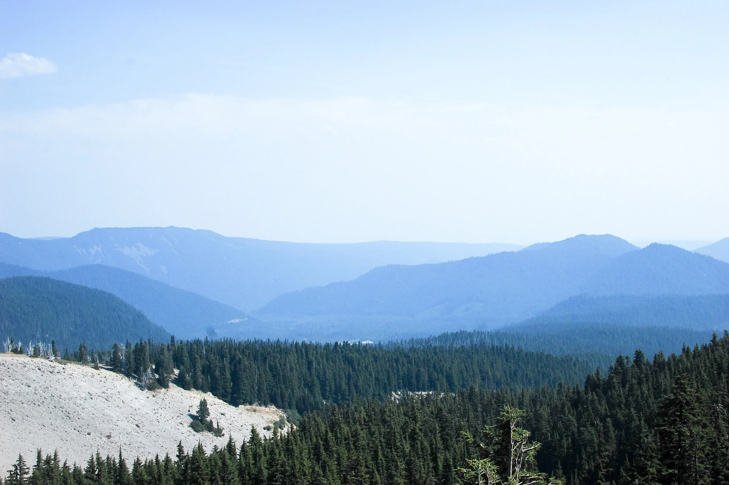 DSC_0750.jpg