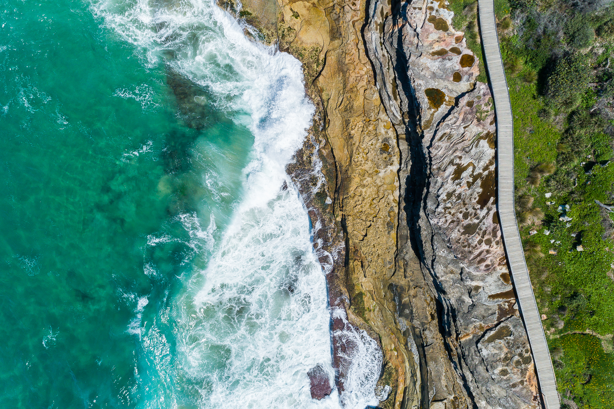 DJI_0100.jpg
