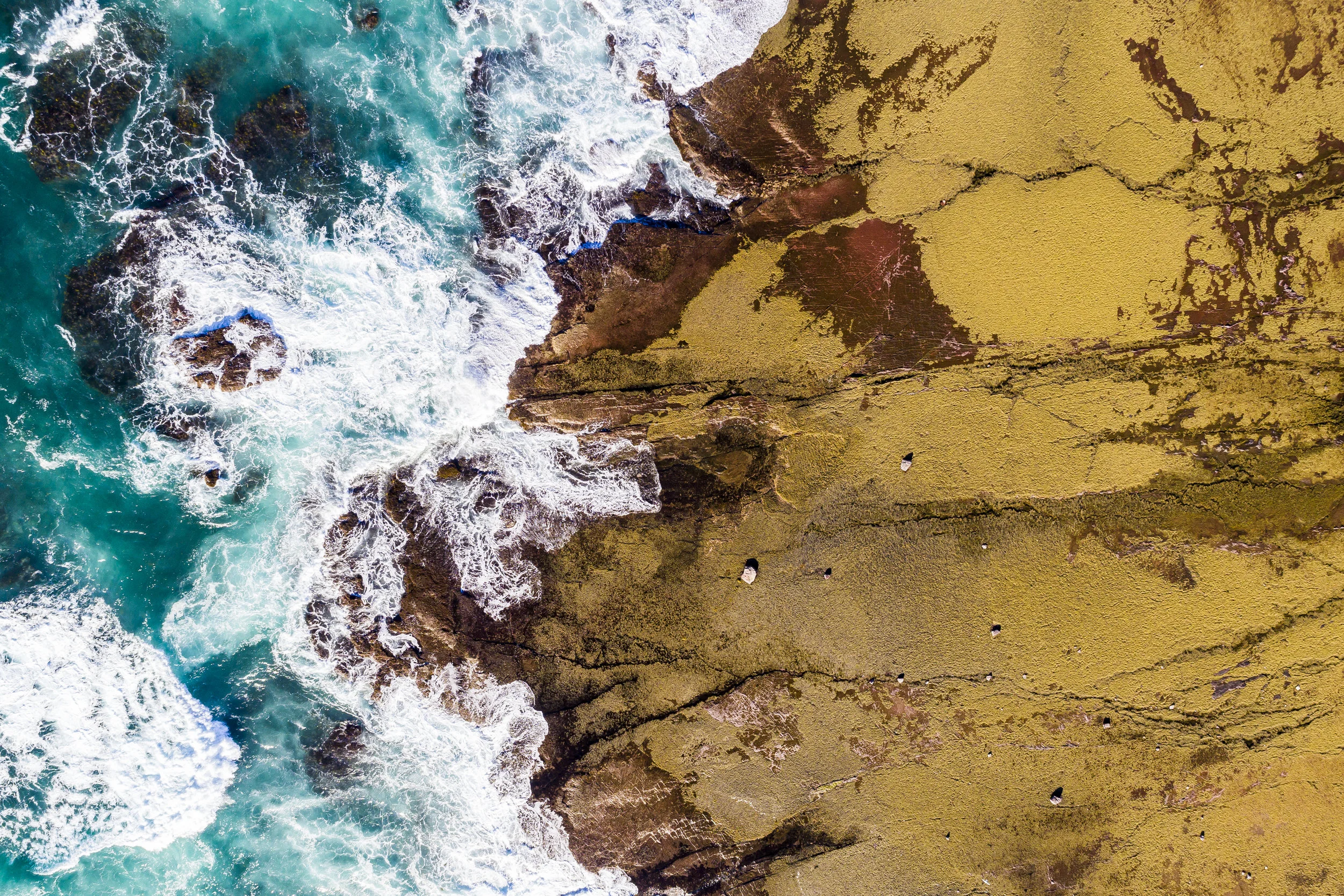 DJI_0033.jpg