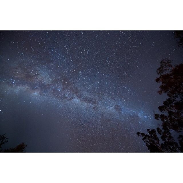 Looking into the sky on a recent camping trip to the NSW country side. .
.
.
.
#milkyway #galaxy #camping #night #starry #stars #longexposure #sony #a7sii #nsw #australia #manfrotto
