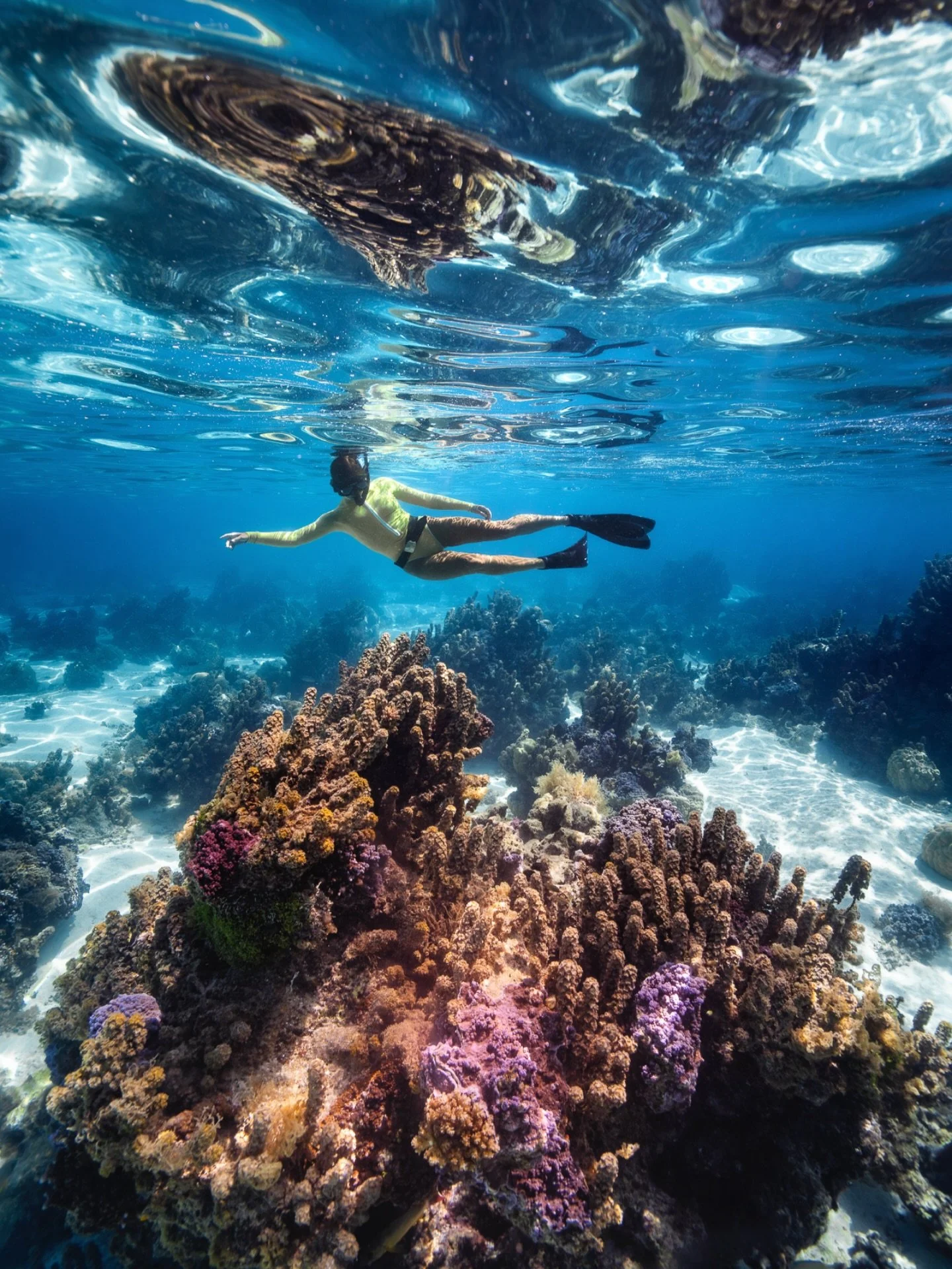 Floating over the reefs of Moorea feels unreal. One moment you&rsquo;re weaving between big coral bombies and schools of fish on the inside of the reef, and just a short swim away you&rsquo;re out in the deep with whales, dolphins and sharks.

But pl