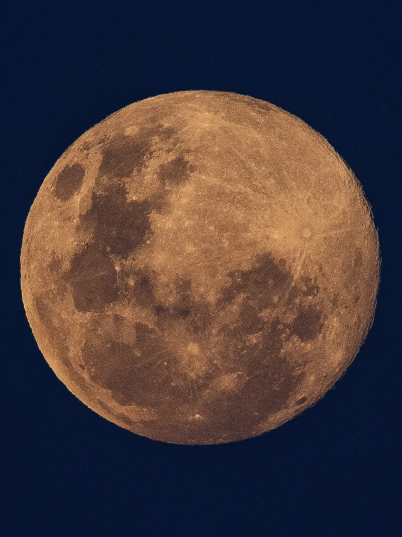 The final Super Moon of this year, the Cold Moon. Supposedly one of the highest moons there will be in the sky till the 2040&rsquo;s.