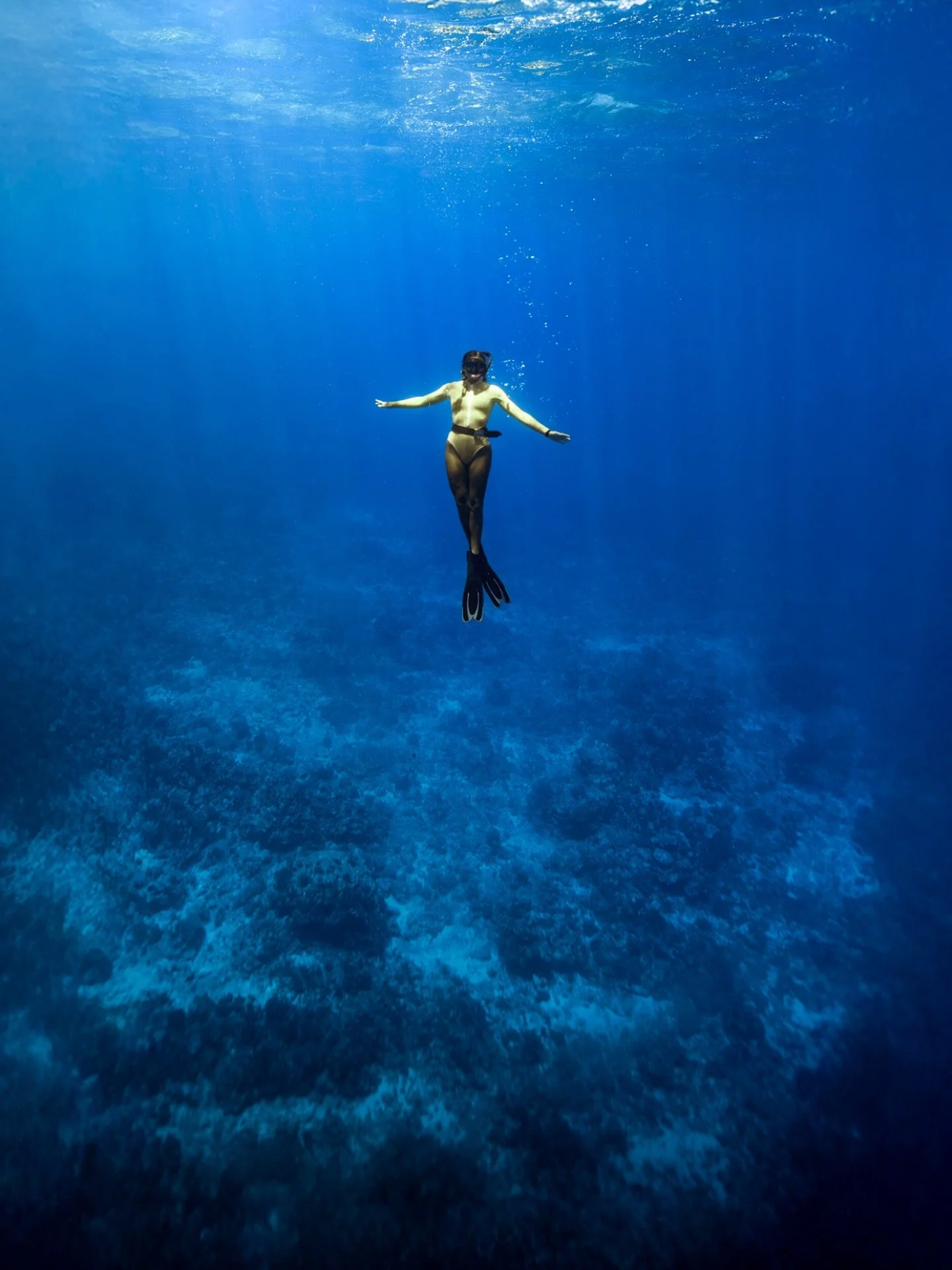Floating over the reef off Mo&rsquo;orea, French Polynesia during a day off from swimming with the whales this season. 

With clear blue warm waters, you couldn&rsquo;t ask for better conditions. 

@sonyalpha.anz #sony12daysofgmasterday5