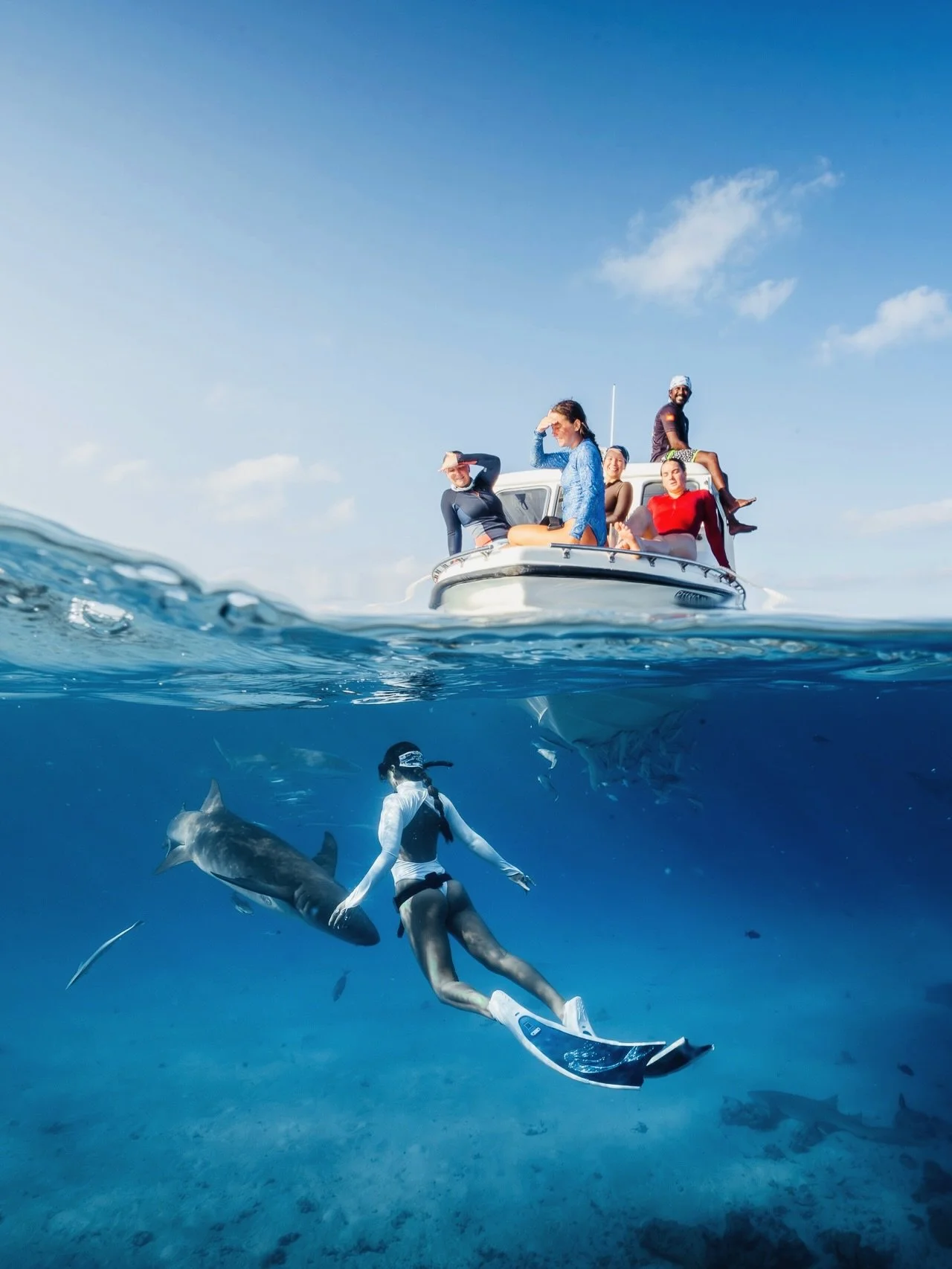 Living the Maldives dream 🤿🪸🦈🐠

This place has the most epic water colours I&rsquo;ve seen on any reef so far. The reefs alive with critters and warm enough to stay in all day 🏝️