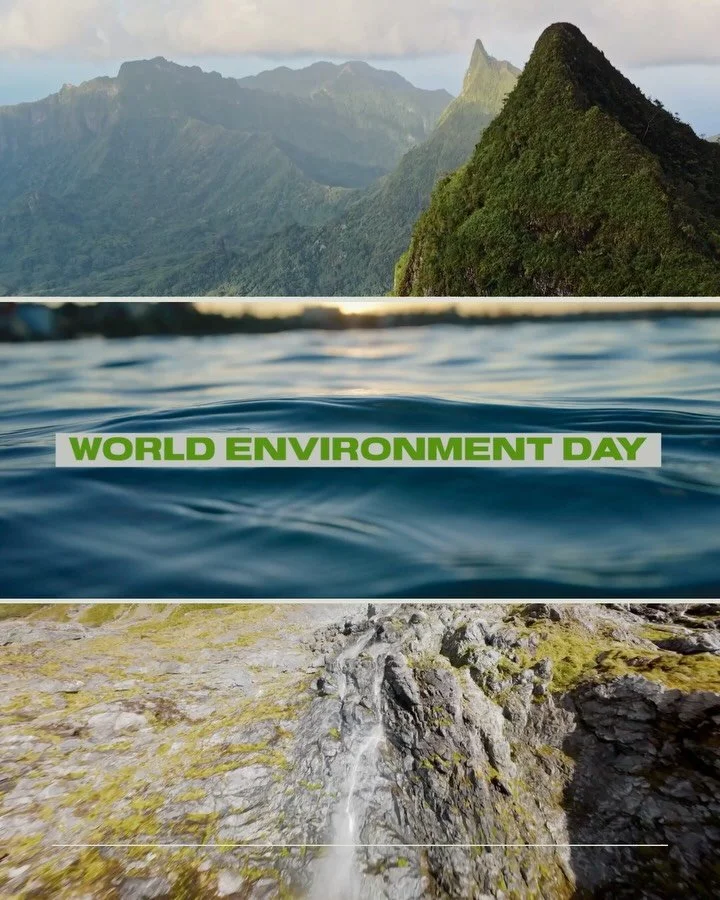 It&rsquo;s World Environment Day 🌏

A day for all of us to raise awareness and take action to protect this beautiful planet we call home.

There is significant environmental destruction occurring around the world, and now more than ever we need to e