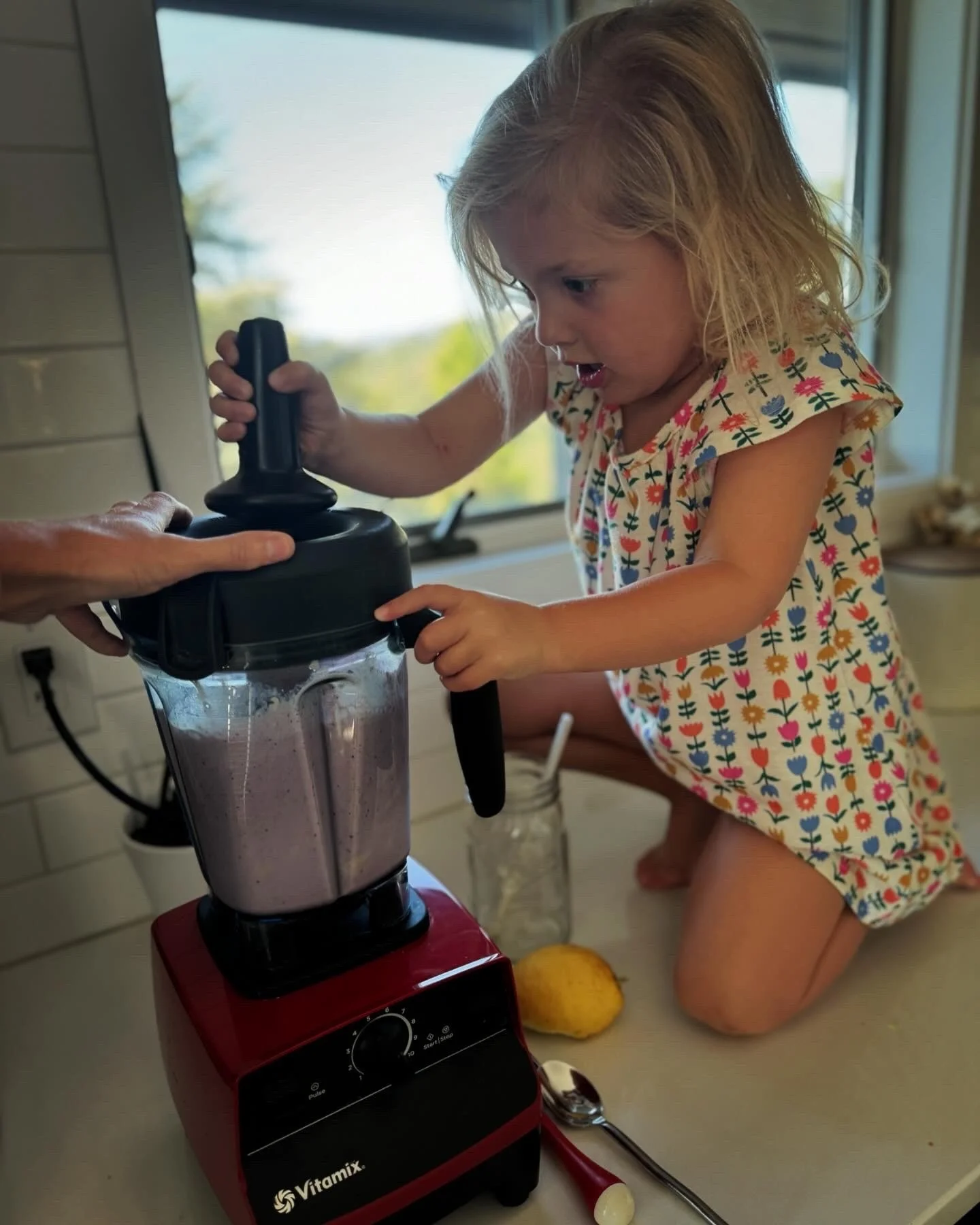 Blueberry Smoothie