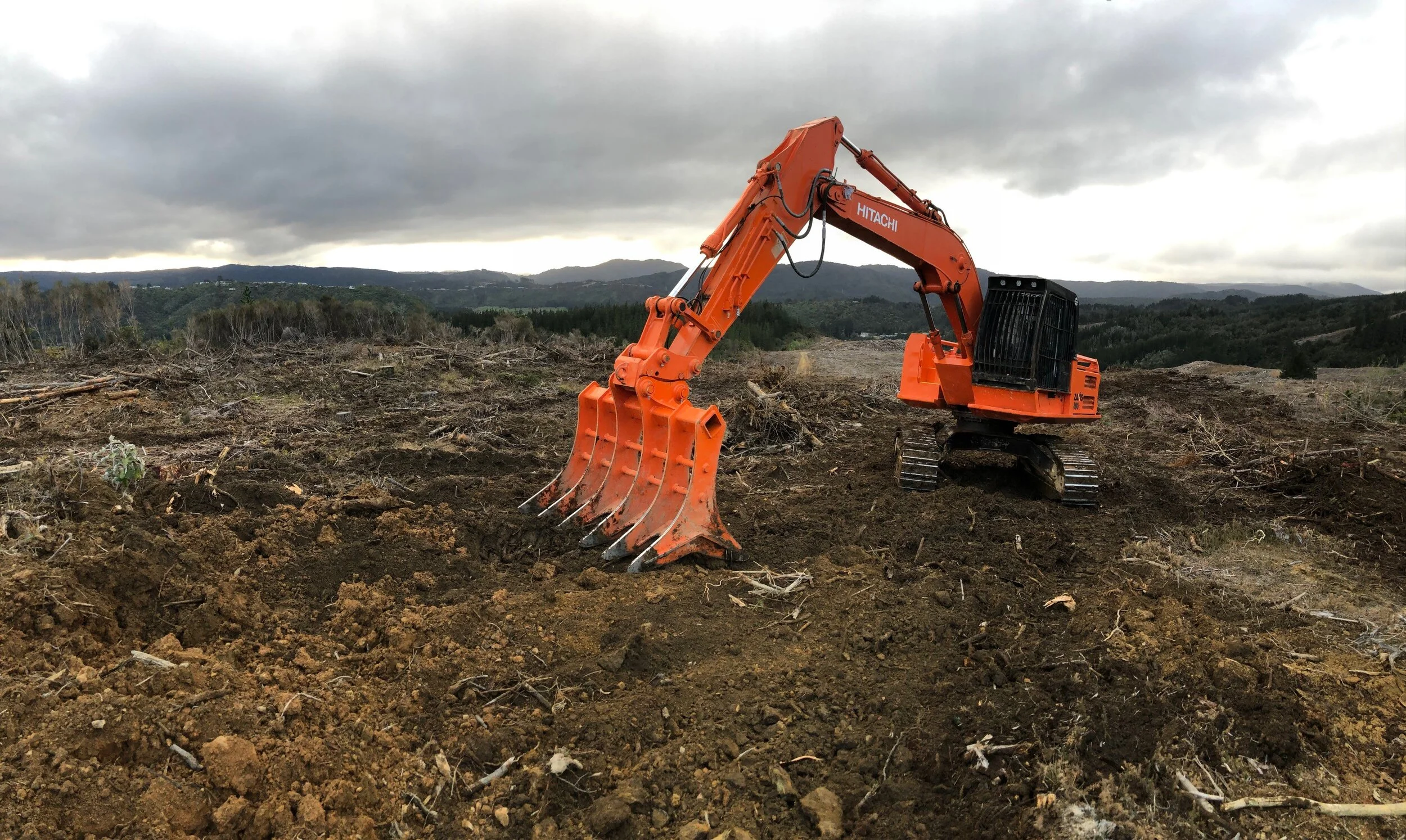 2 ZX280 ROOT RAKE.jpg