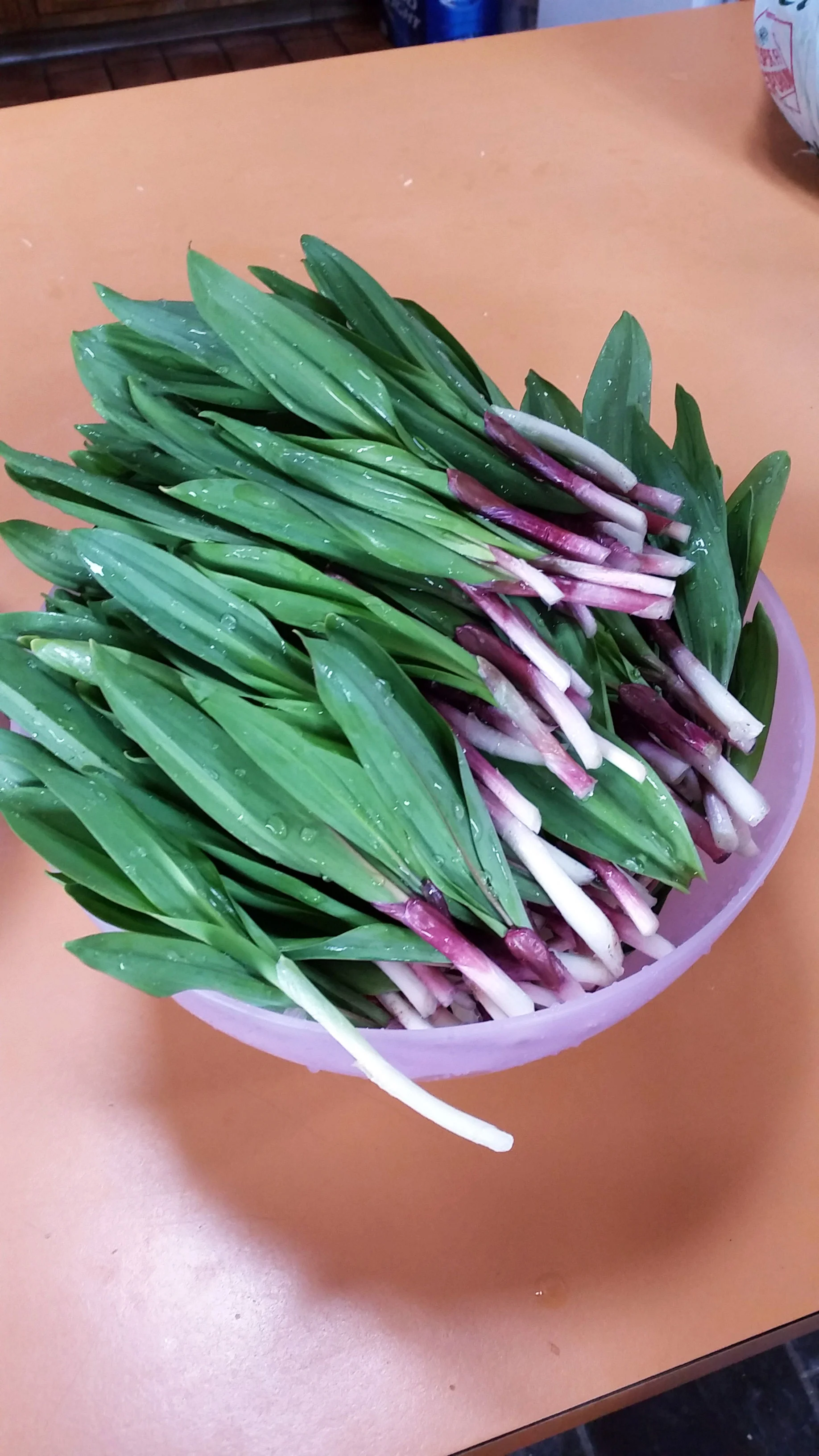 20150427_160345ccweB.jpg