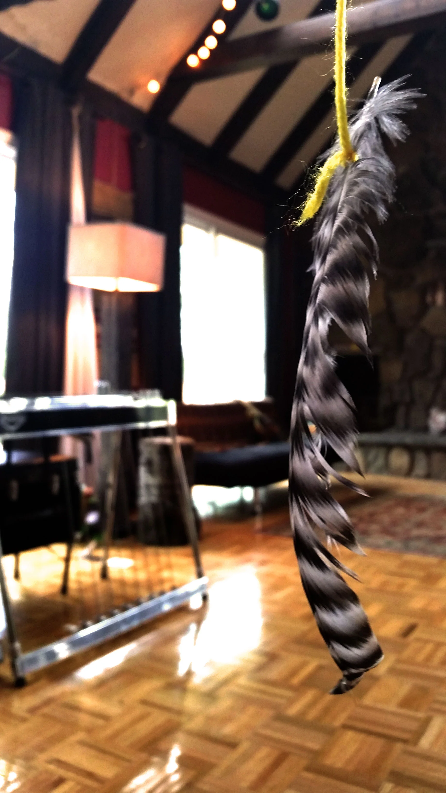 20150510_163151CCWEB.jpg