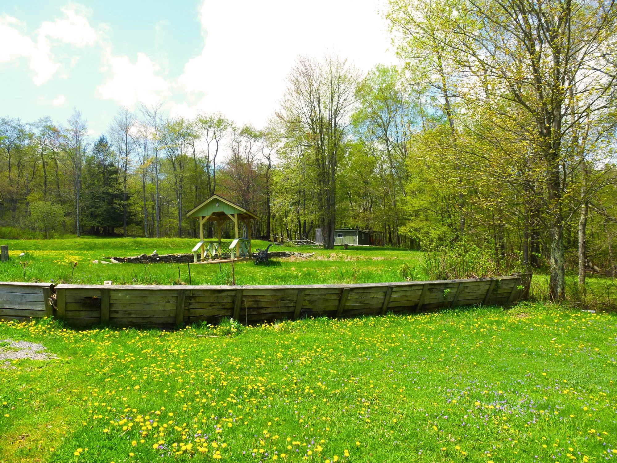 P1000757ccWEB.jpg