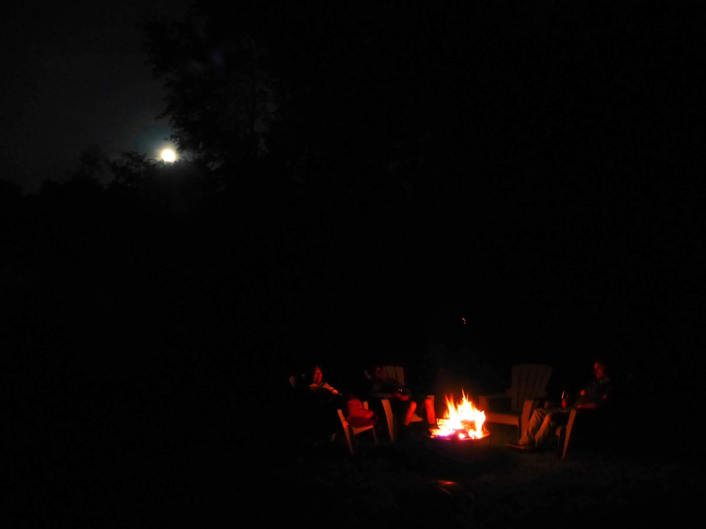 P1000883ccWEB.jpg