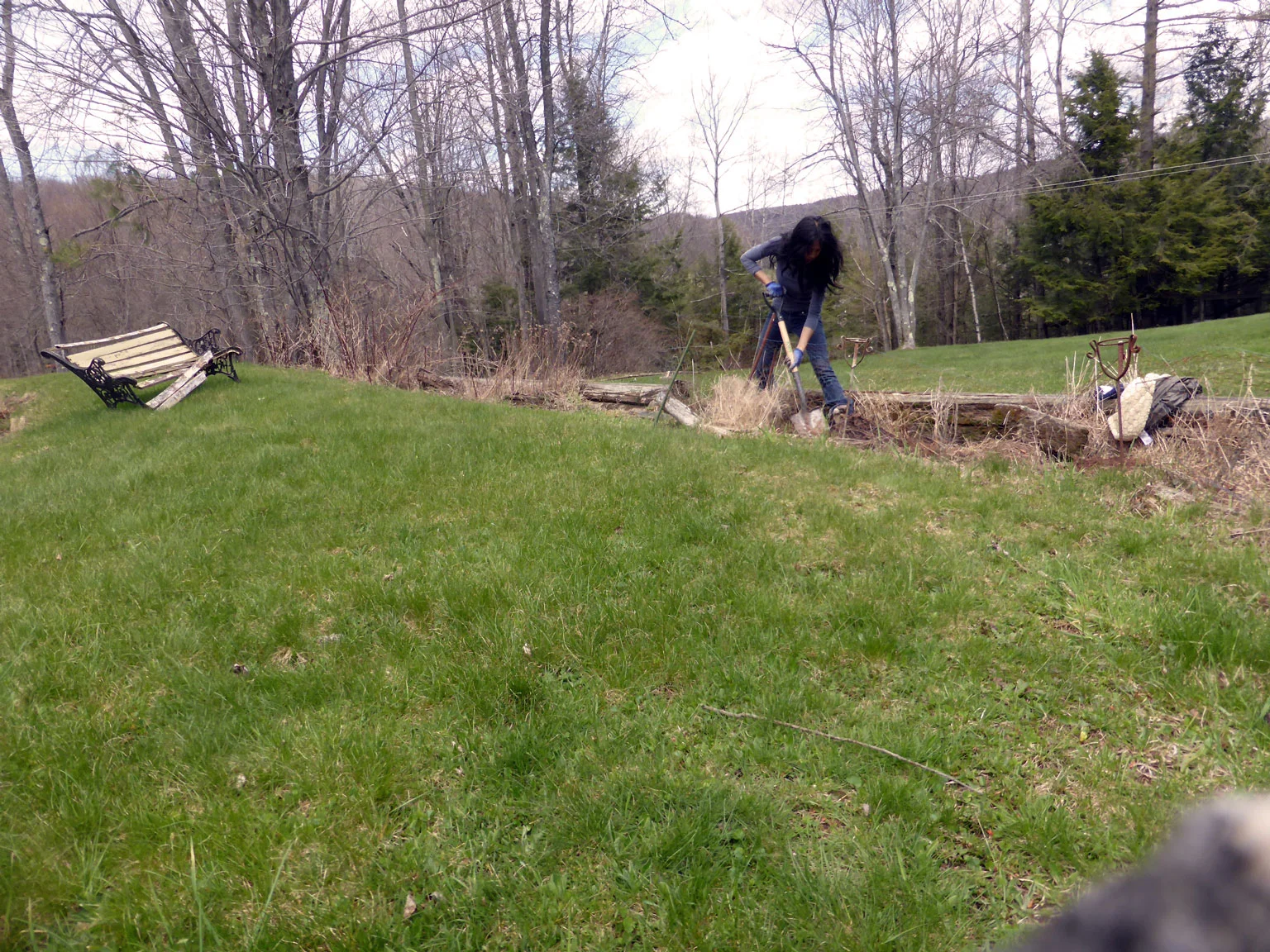 P1030509ccWEB.jpg