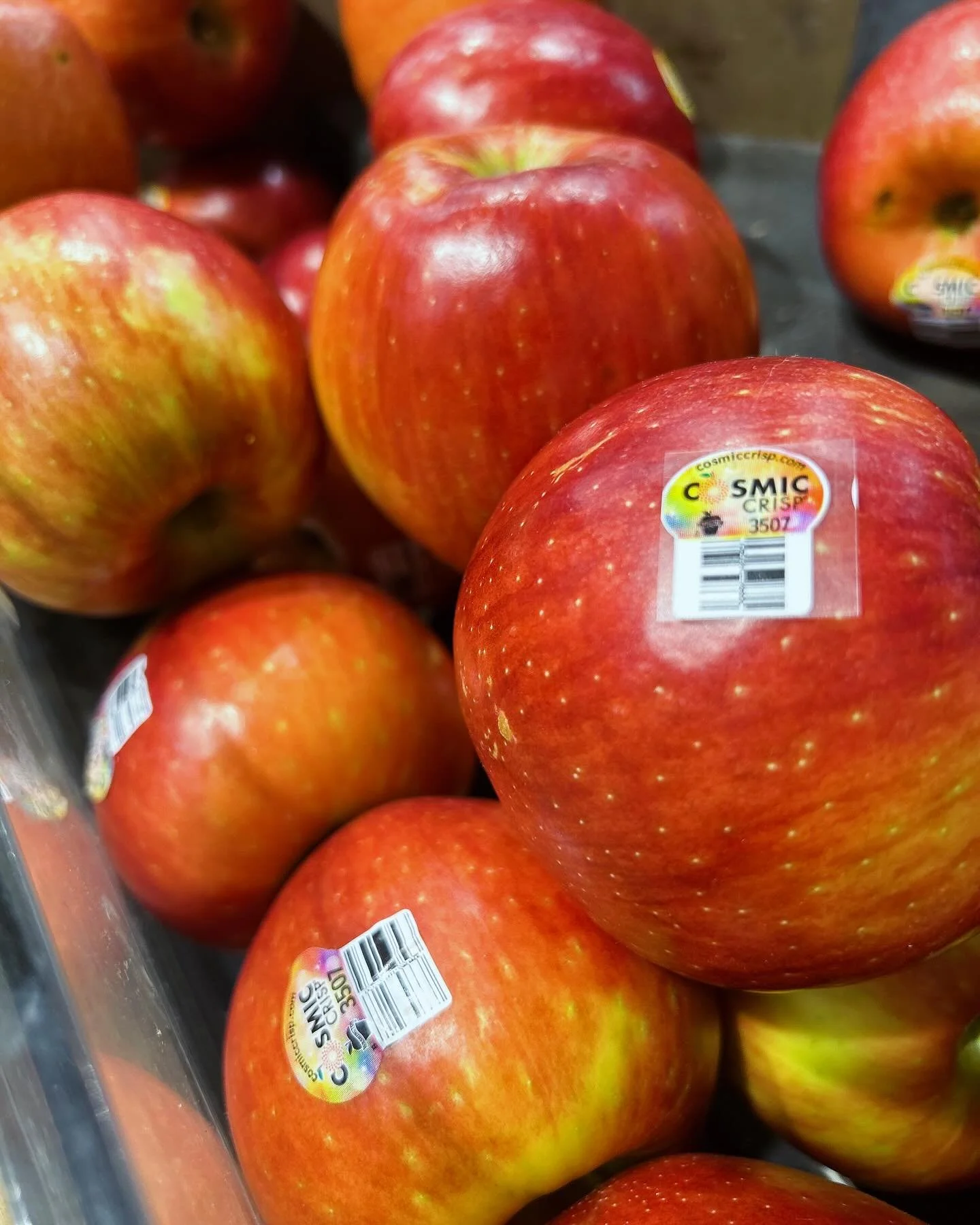 I started this account to let you know that cosmic crisp apples are the only way to go.