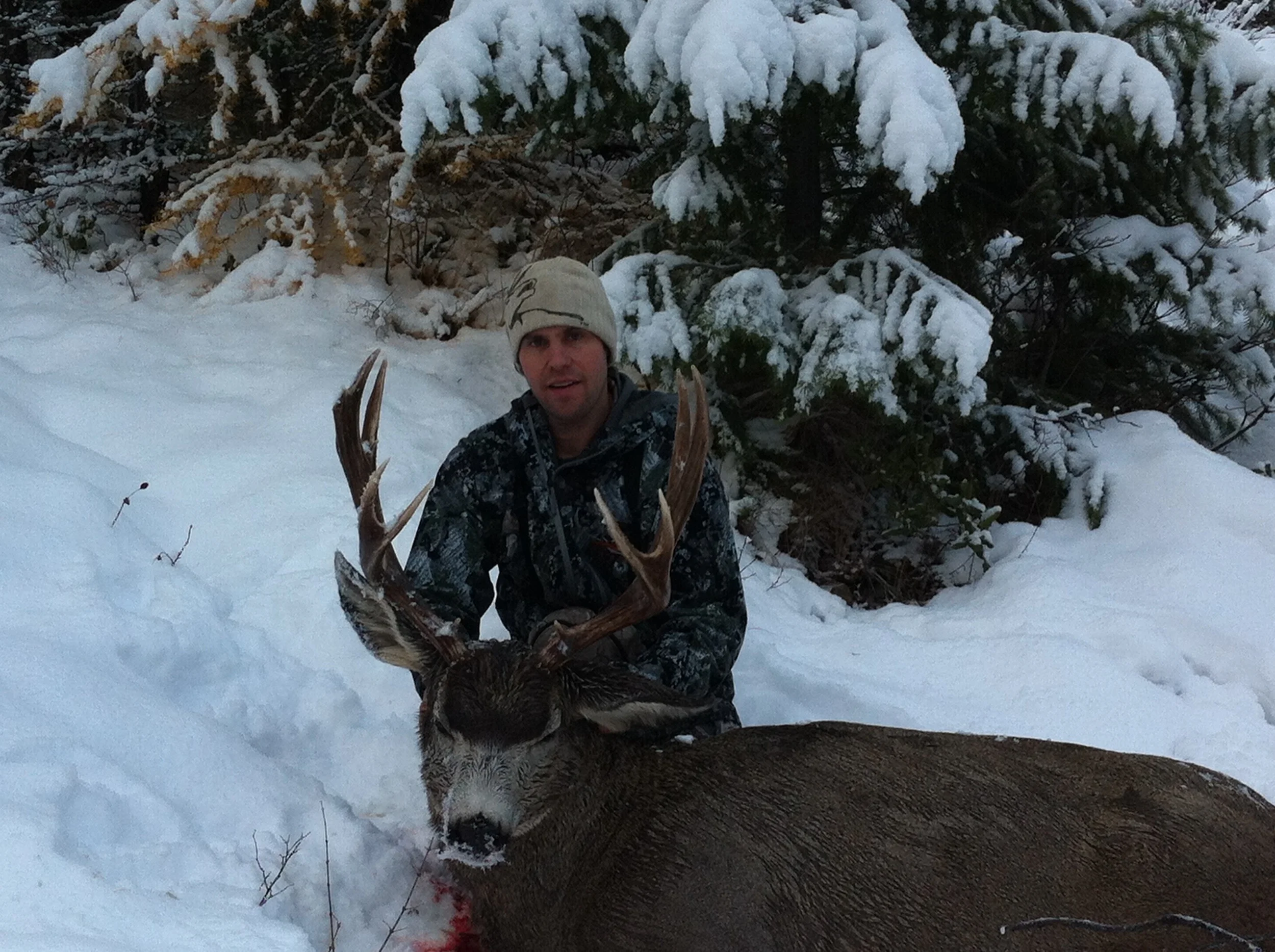 muley 002.jpg