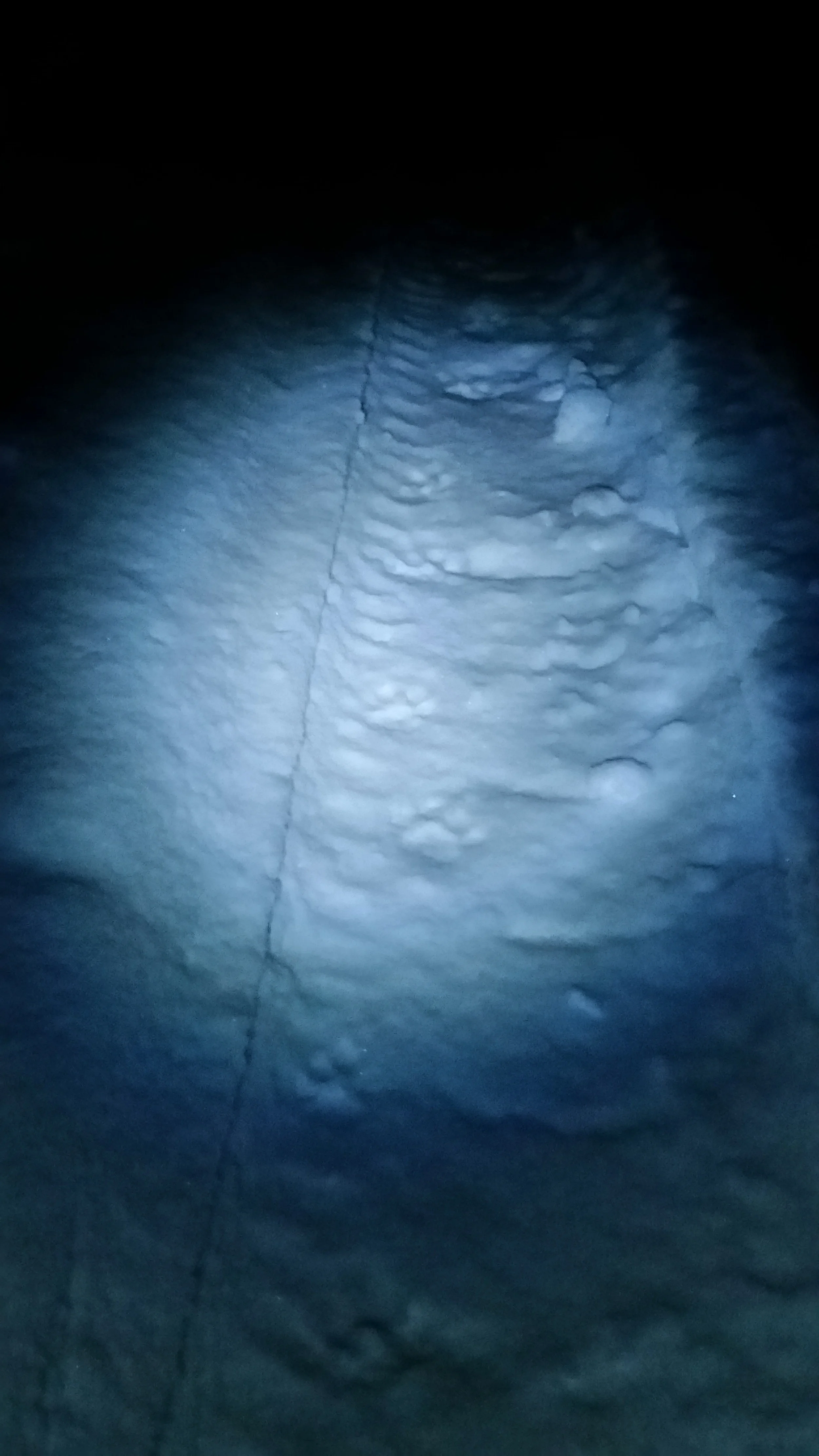 20160121_070111.jpg
