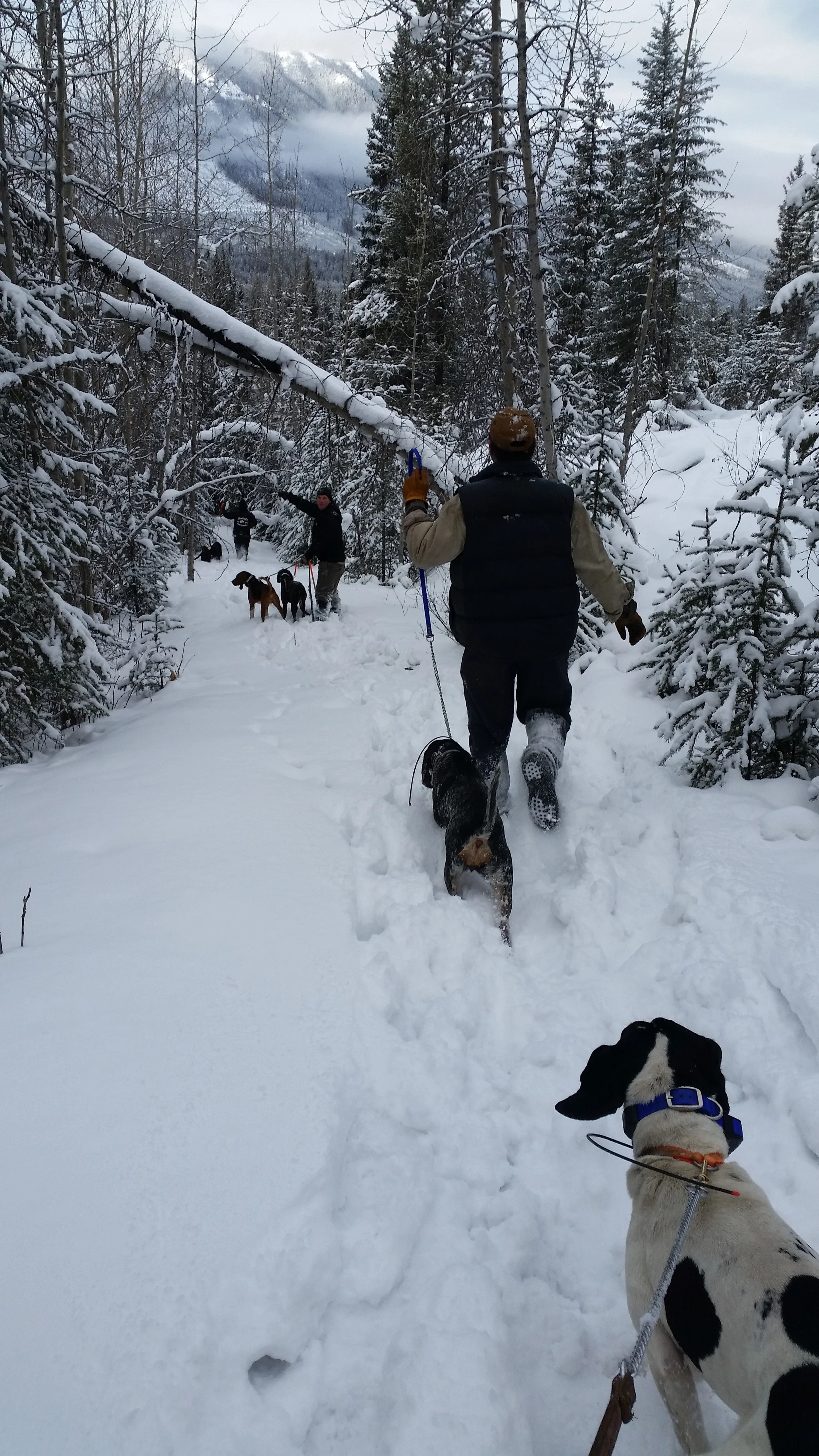 20160117_123716.jpg