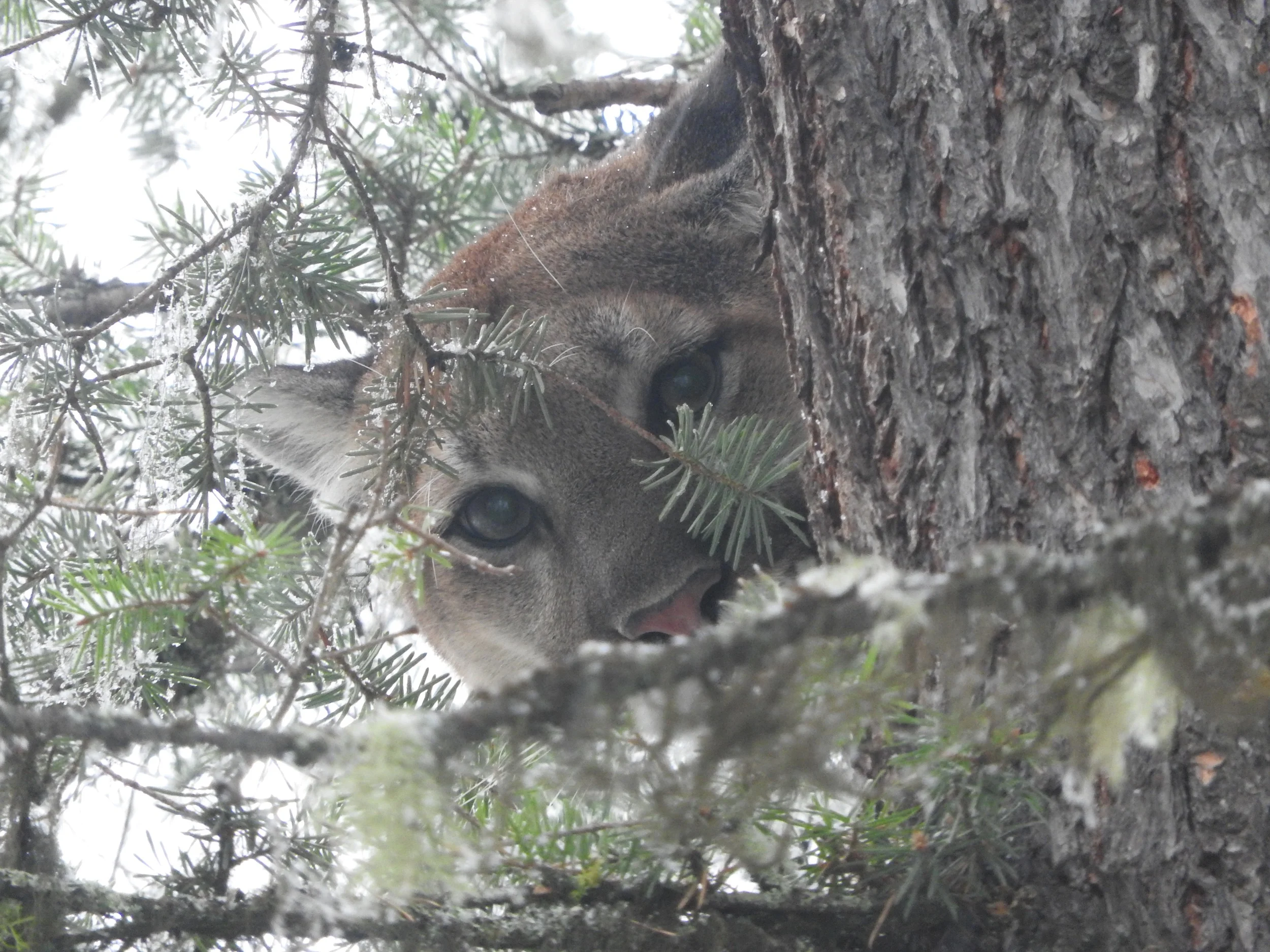 DSCN5067.jpg