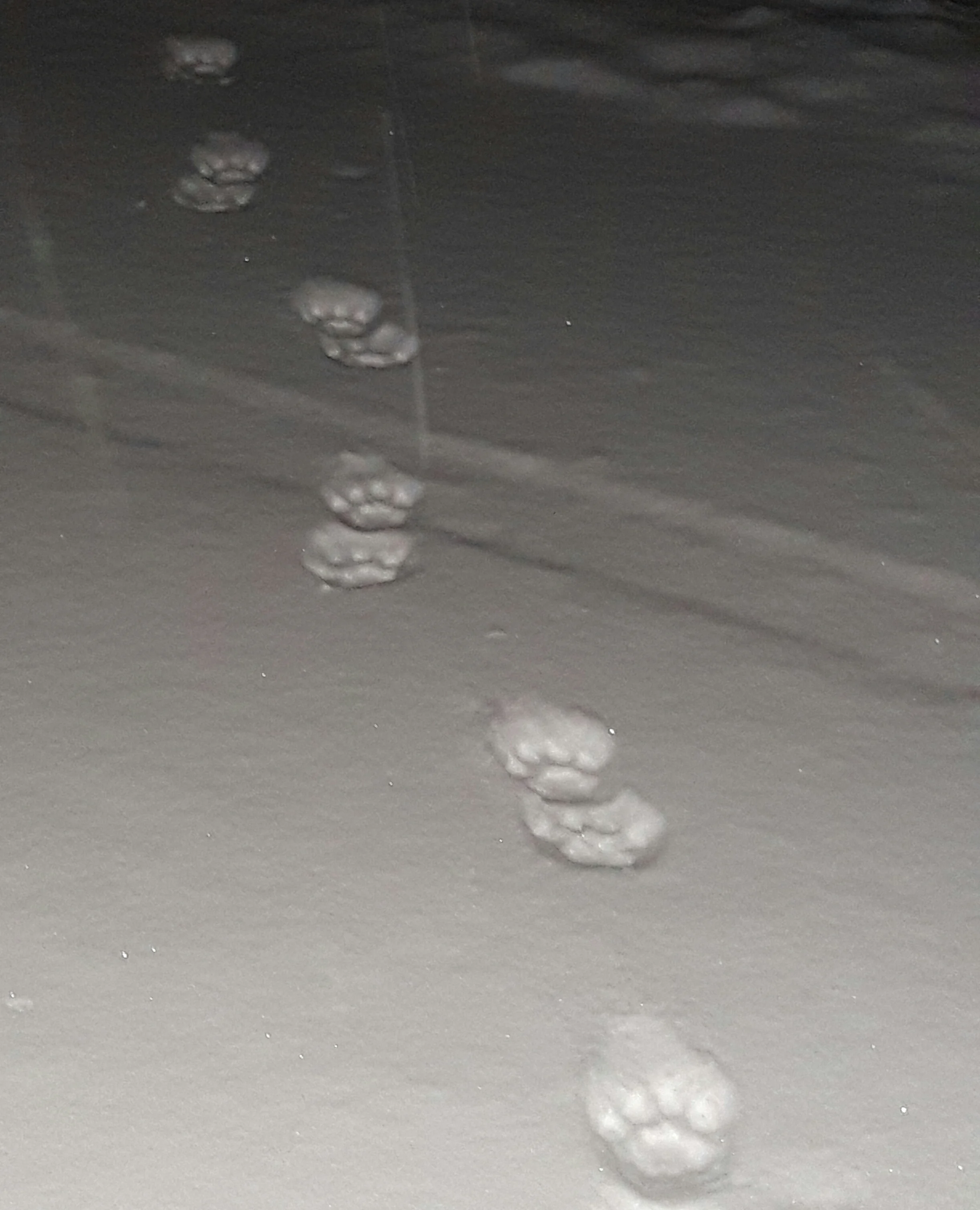 20171203_055452.jpg